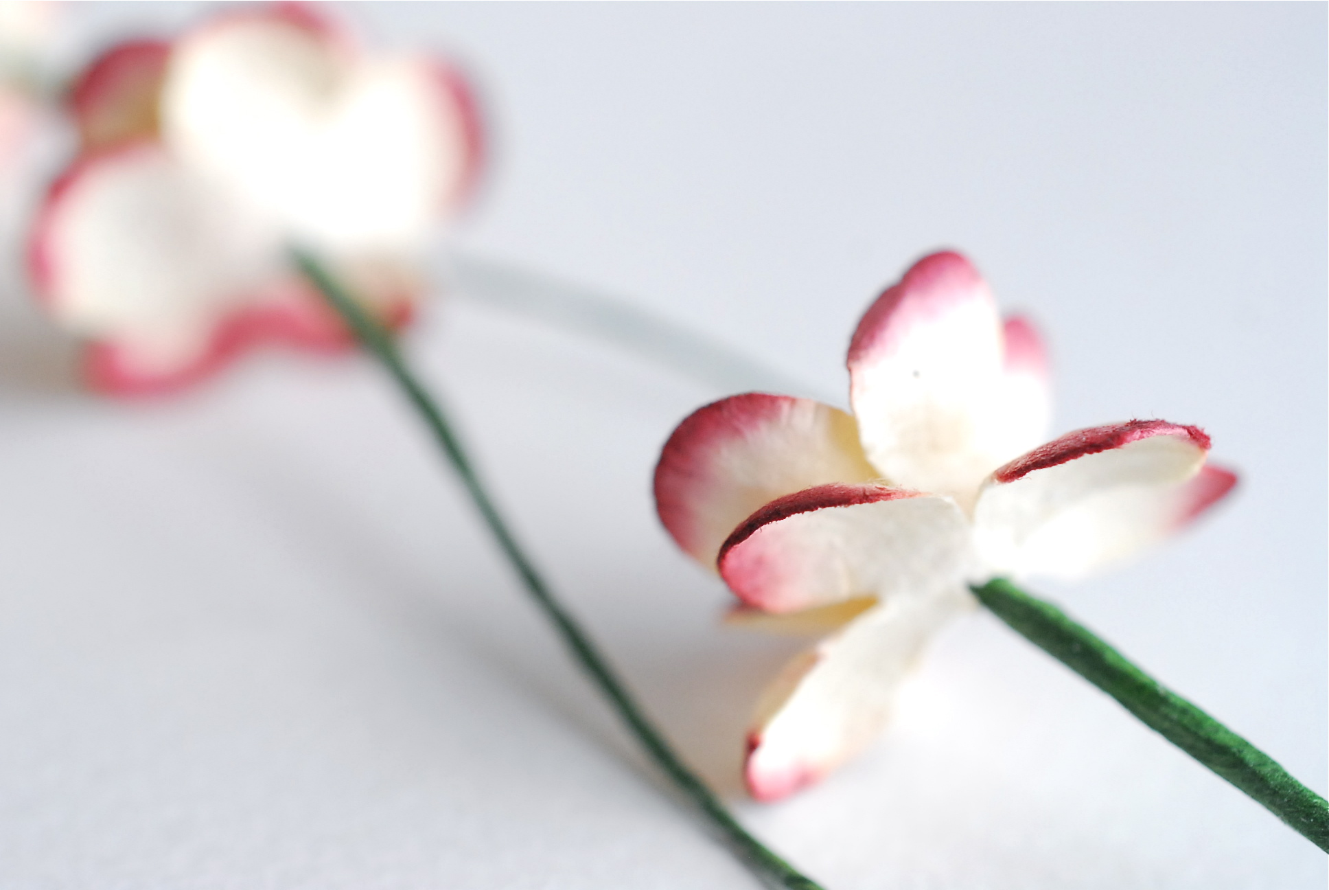 ดอกไม้กระดาษสา ดอกไม้กระดาษสาราคาส่ง ดอกไม้กระดาษสำหรับตกแต่งของชำร่วย งานแต่งงาน ทำช่อดอกไม้ติดอกเจ้าบ่าว ข้อมือดอกไม้เจ้าสาว ขนาด2.5 cm. 50 ดอก Paper flowers supplies: DIY wedding tools Cherry blossom (Sakura) 50 pcs. size 2.5 cm. Ivory brush dark red c