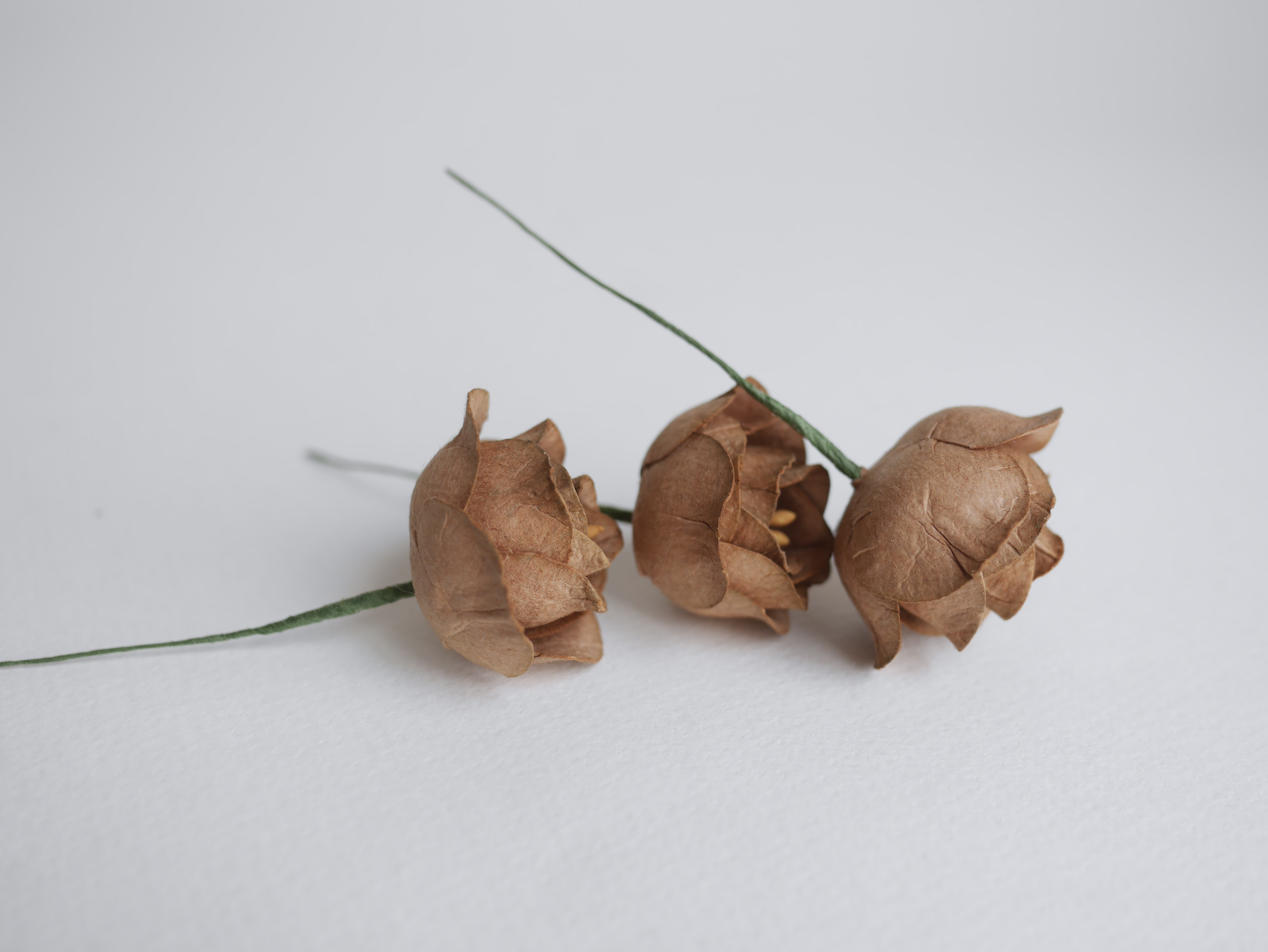 ดอกไม้กระดาษสา ดอกโลตัสอินโดนิเซียกระดาษ ดอกไม้กระดาษสาราคาส่ง ดอกไม้กระดาษสำหรับตกแต่งของชำร่วย งานแต่งงาน ทำช่อดอกไม้ติดอกเจ้าบ่าว ข้อมือดอกไม้เจ้าสาว ขนาด 4.5 cm. 20 ดอก สีน้ำตาลโกโก้ Paper flowers supplies: DIY wedding tools, Lotus with pollens.