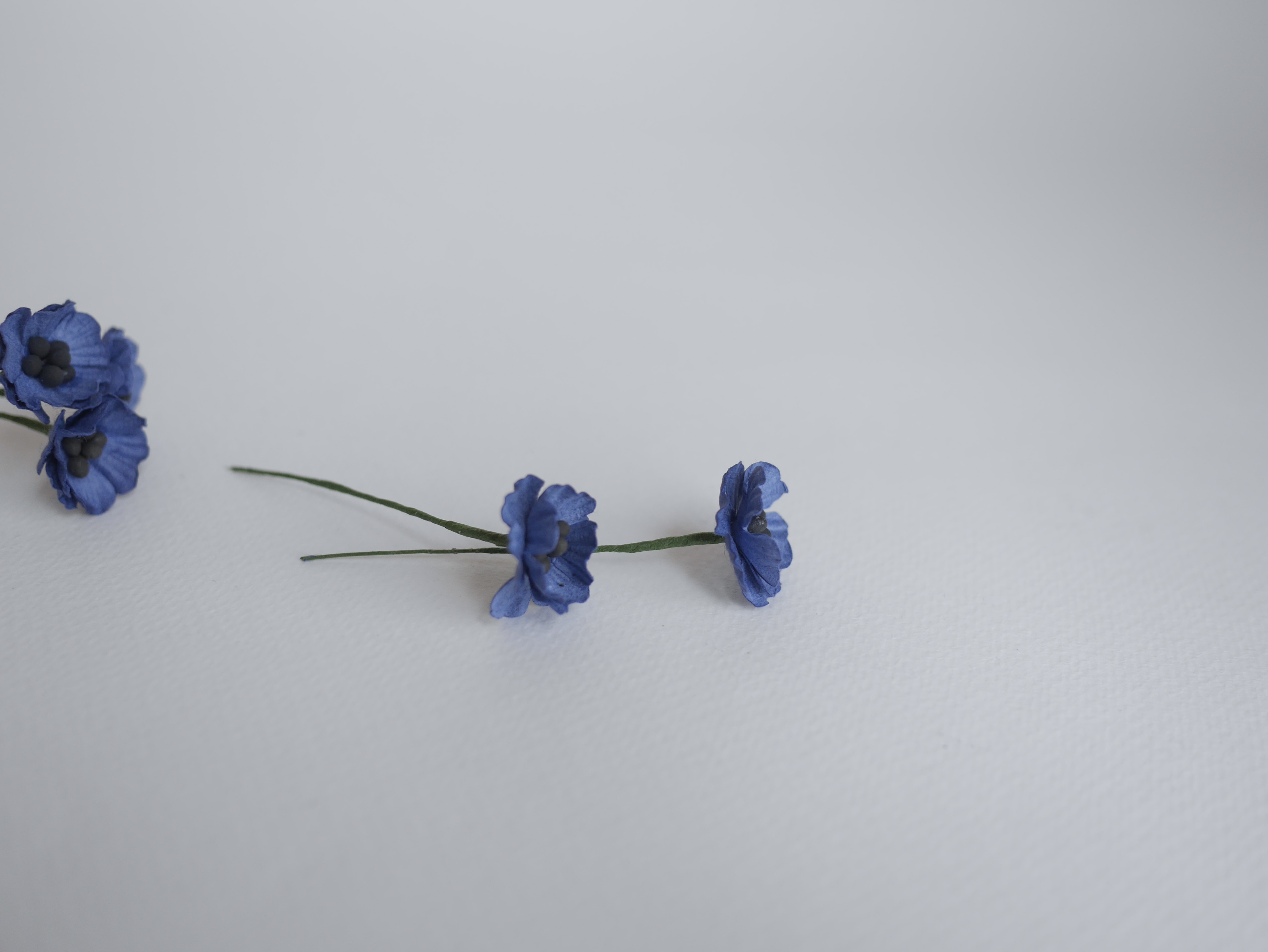 ดอกไม้กระดาษสา ดอกไม้กระดาษสา จตุจักร งานประดิษฐ์ ดอกไม้ทำข้อมือเพื่อนเจ้าสาว แต่งงาน ดอกไม้กระดาษ poppy สีน้ำเงินกรมท่า passion blue ขนาด 2.00 cm. จำนวน 50 ดอก