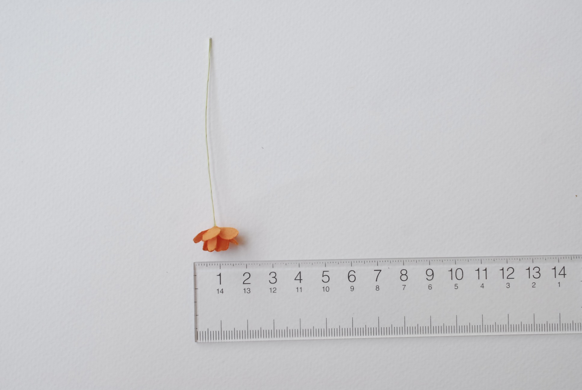 ดอกไม้กระดาษสา ราคาส่ง, ดอกไฮเดรนเยียกระดาษสา ดอกไม้ประดิษฐ์ ตกแต่งงานแต่งงาน ประดิษฐ์ข้อมือเพื่อนเจ้าสาว ขนาด 1.5 cm., สำหรับของชำร่วย, งานแต่งงาน, ดอกไม้ทำข้อมือเจ้าสาว สีส้ม จำนวน 100 ดอก Paper flower,100 Pieces mulberry hydenyia orange color