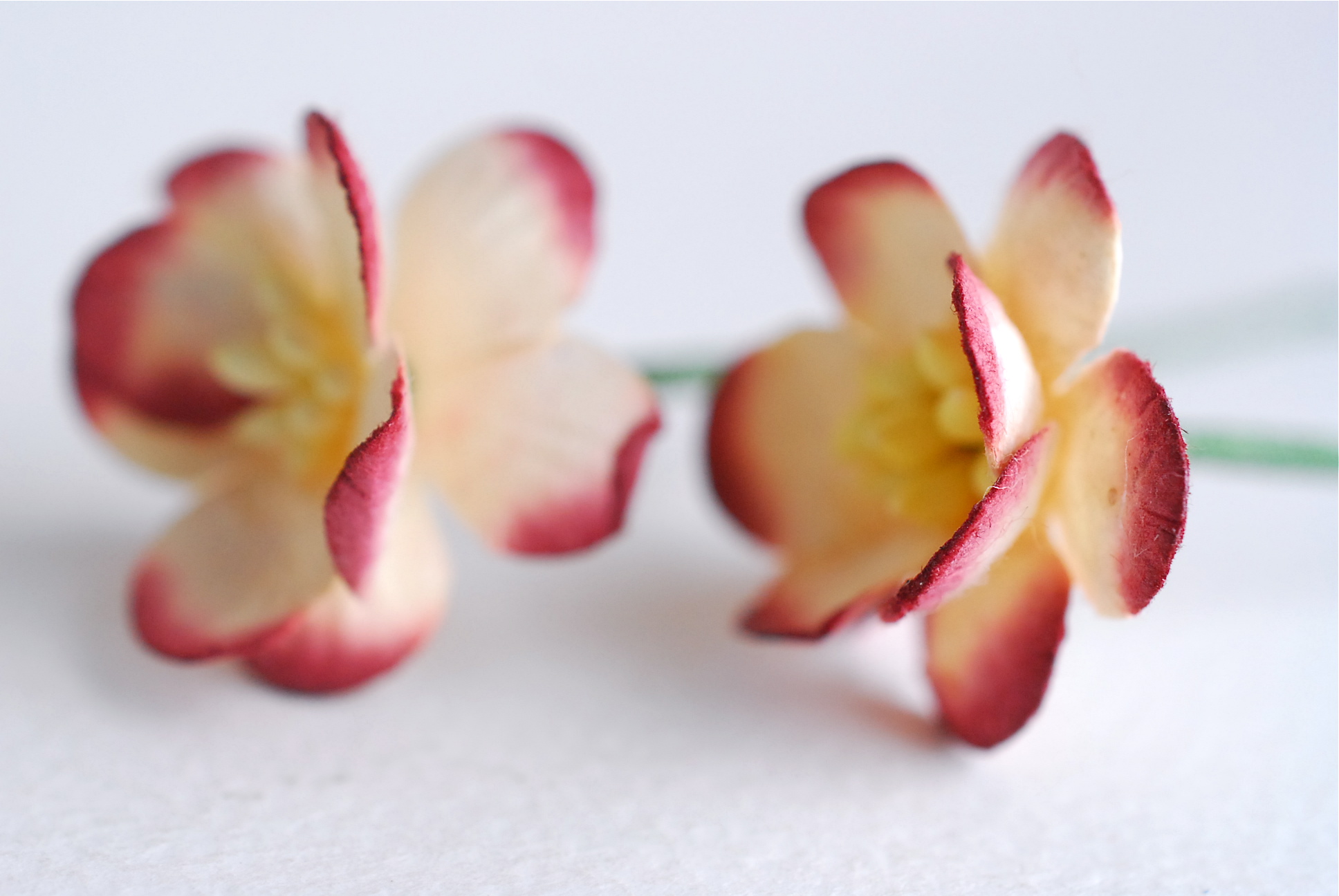 ดอกไม้กระดาษสา ดอกไม้กระดาษสาราคาส่ง ดอกไม้กระดาษสำหรับตกแต่งของชำร่วย งานแต่งงาน ทำช่อดอกไม้ติดอกเจ้าบ่าว ข้อมือดอกไม้เจ้าสาว ขนาด2.5 cm. 50 ดอก Paper flowers supplies: DIY wedding tools Cherry blossom (Sakura) 50 pcs. size 2.5 cm. Ivory brush dark red c