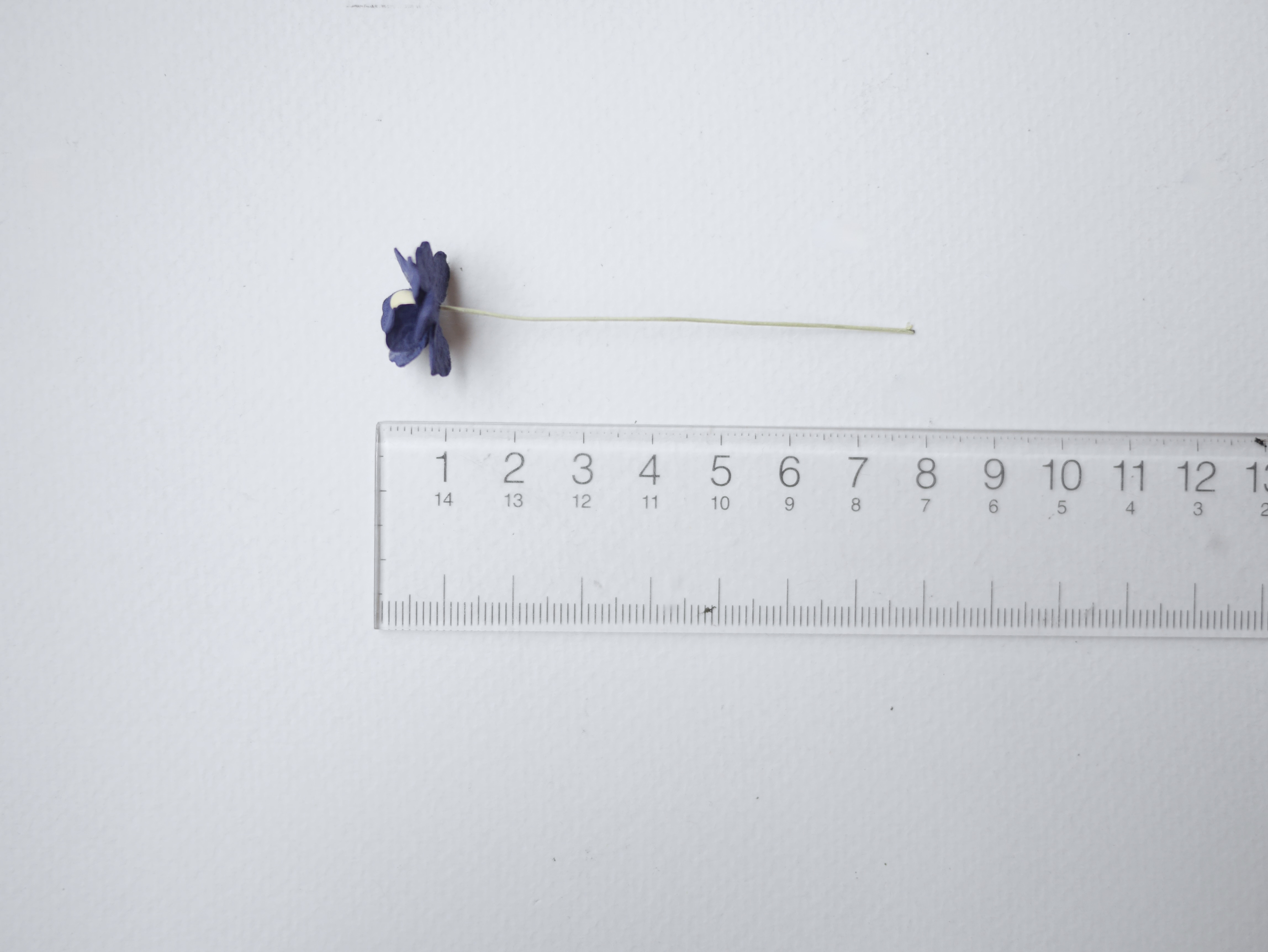 ดอกไม้กระดาษสา ราคาส่ง, ดอกไฮเดรนเยียกระดาษสา ดอกไม้ประดิษฐ์ ตกแต่งงานแต่งงาน ประดิษฐ์ข้อมือ เพื่อนเจ้าสาว ขนาด 2.00 cm., สำหรับของชำร่วย, งานแต่งงาน, ดอกไม้ทำข้อมือเจ้าสาว สีน้ำเงินกรมท่า จำนวน 100 ดอก Paper flower,100 Pieces mulberry hydenyia, passion b