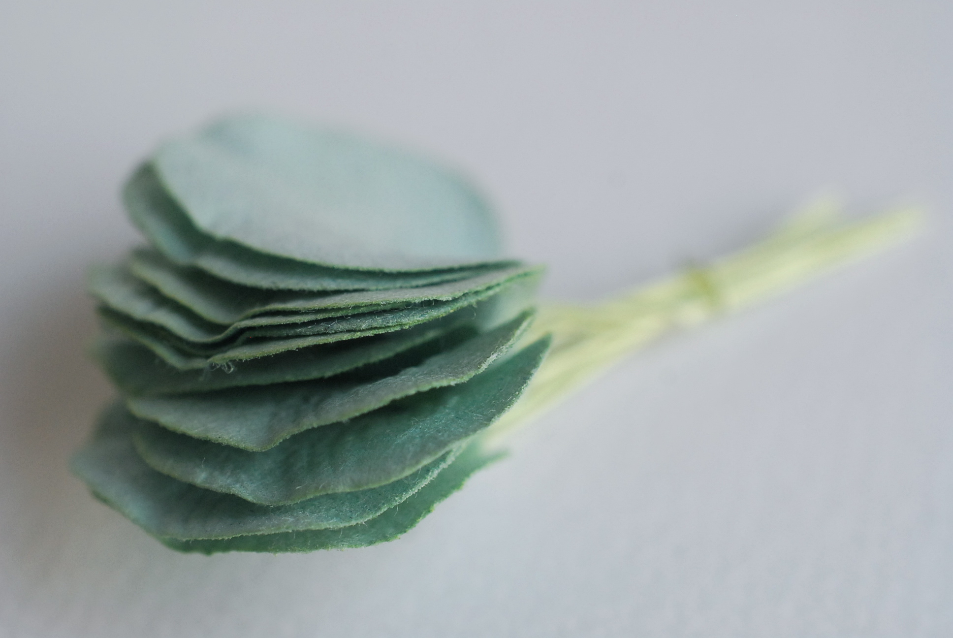 ใบไม้กระดาษ orbicular leaves ใบไม้กระดาษสา ราคาส่ง,ใบไม่้กลม กระดาษ สำหรับงานประดิษฐ์ ใบไม้ประดิษฐ์ สำหรับตกแต่ง หรืองานแต่งงาน สีเขียวตุ่น ขนาด 3x3 cm. จำนวน 50 ใบ