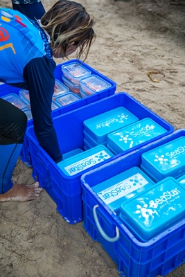อันดับ 1 ทัวร์เกาะสิมิลัน 1 วัน เรือสปีดโบ๊ท Similan Islands by speed boat
