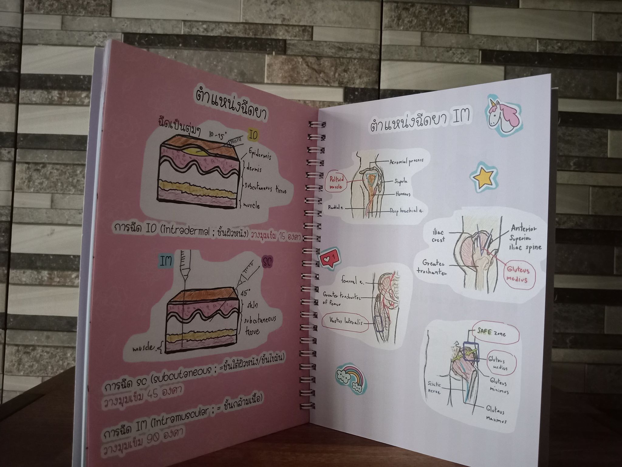 คู่มือฝึกงานพยาบาล (St..nurse planner) *รุ่น Edit 2567