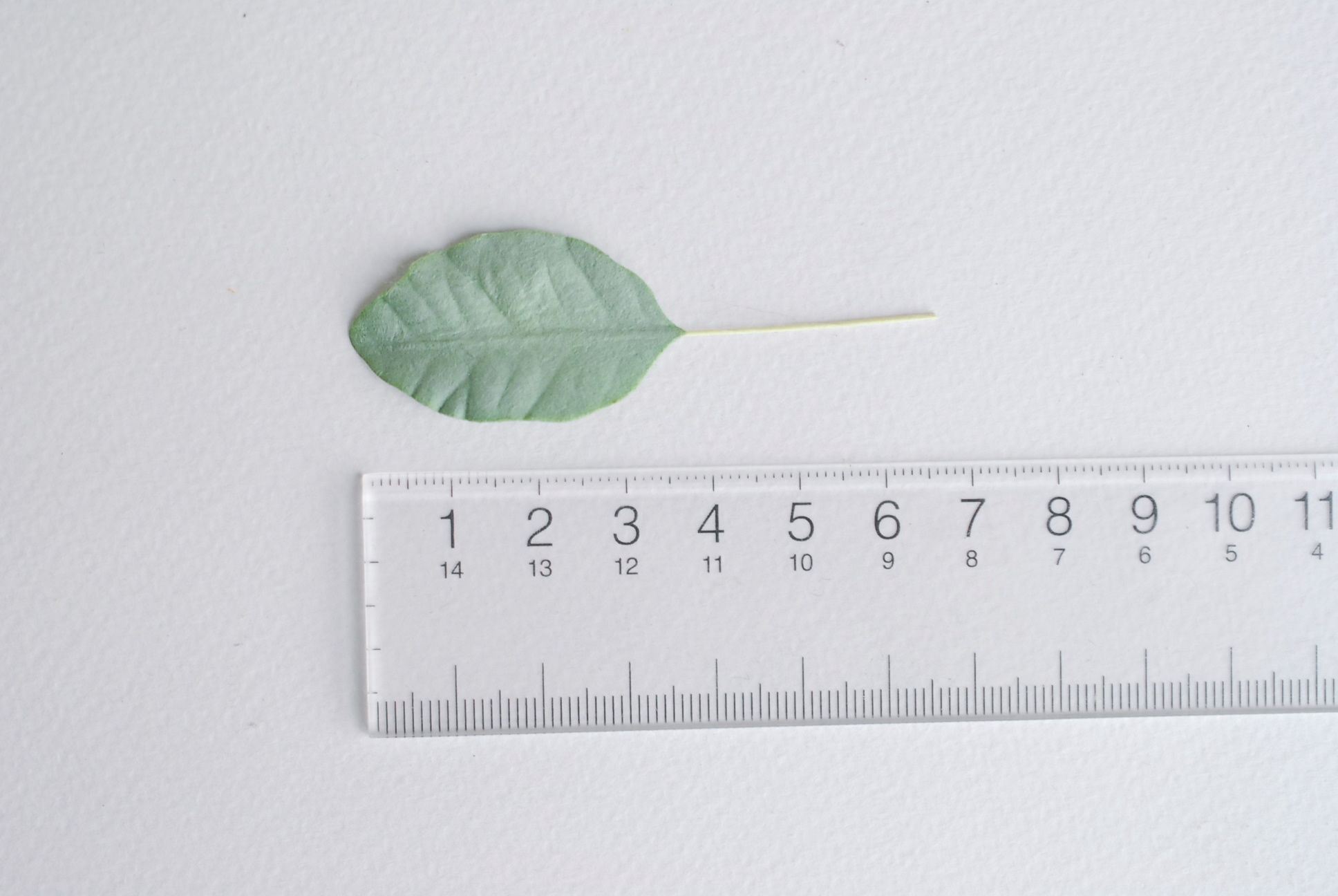 ใบไม้กระดาษ ใบไม้กระดาษสา ราคาส่ง,ใบไม่้กุหลาบกระดาษ สำหรับดอกมะลิกระดาษสา ใบไม้ประดิษฐ์ สำหรับตกแต่ง หรืองานแต่งงาน สีเขียว ขนาด 3.5x2.5 cm. จำนวน 50 ใบ