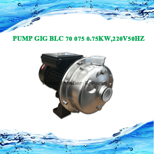 PUMP GIG BLC 70 075 0.75KW,220V50HZ