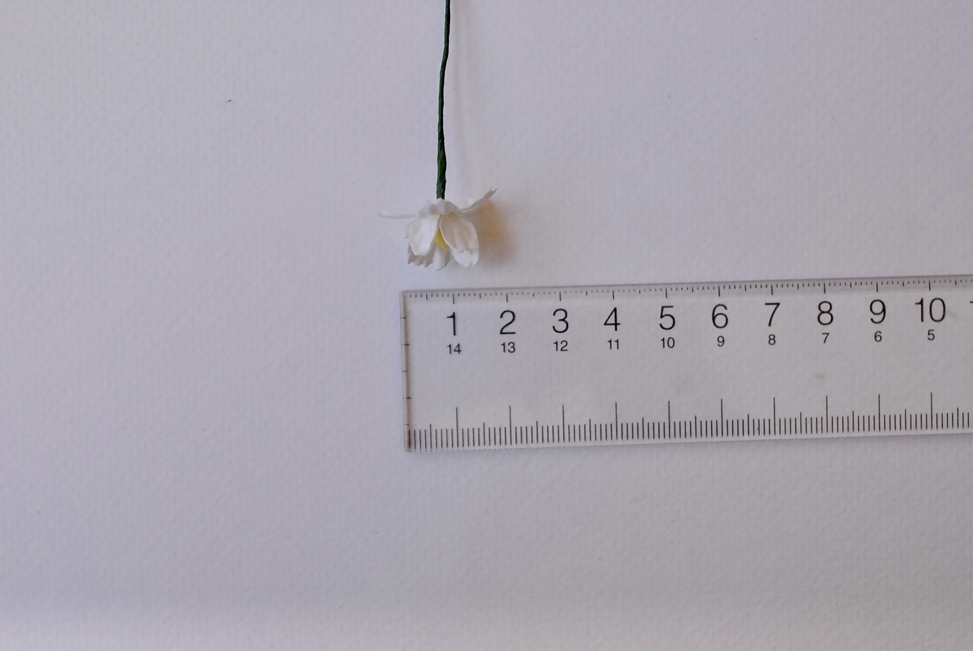 ดอกไม้กระดาษสา ดอกซากุระกระดาษ ขนาดเล็ก ดอกไม้กระดาษสาราคาส่ง ดอกไม้กระดาษสำหรับตกแต่งของชำร่วย งานแต่งงาน ทำช่อดอกไม้ติดอกเจ้าบ่าว ข้อมือดอกไม้เจ้าสาว ขนาด2.0 cm. 50 ดอก สี ofwhite Paper flowers supplies: DIY wedding tools small Cherry blossom (Sakura)