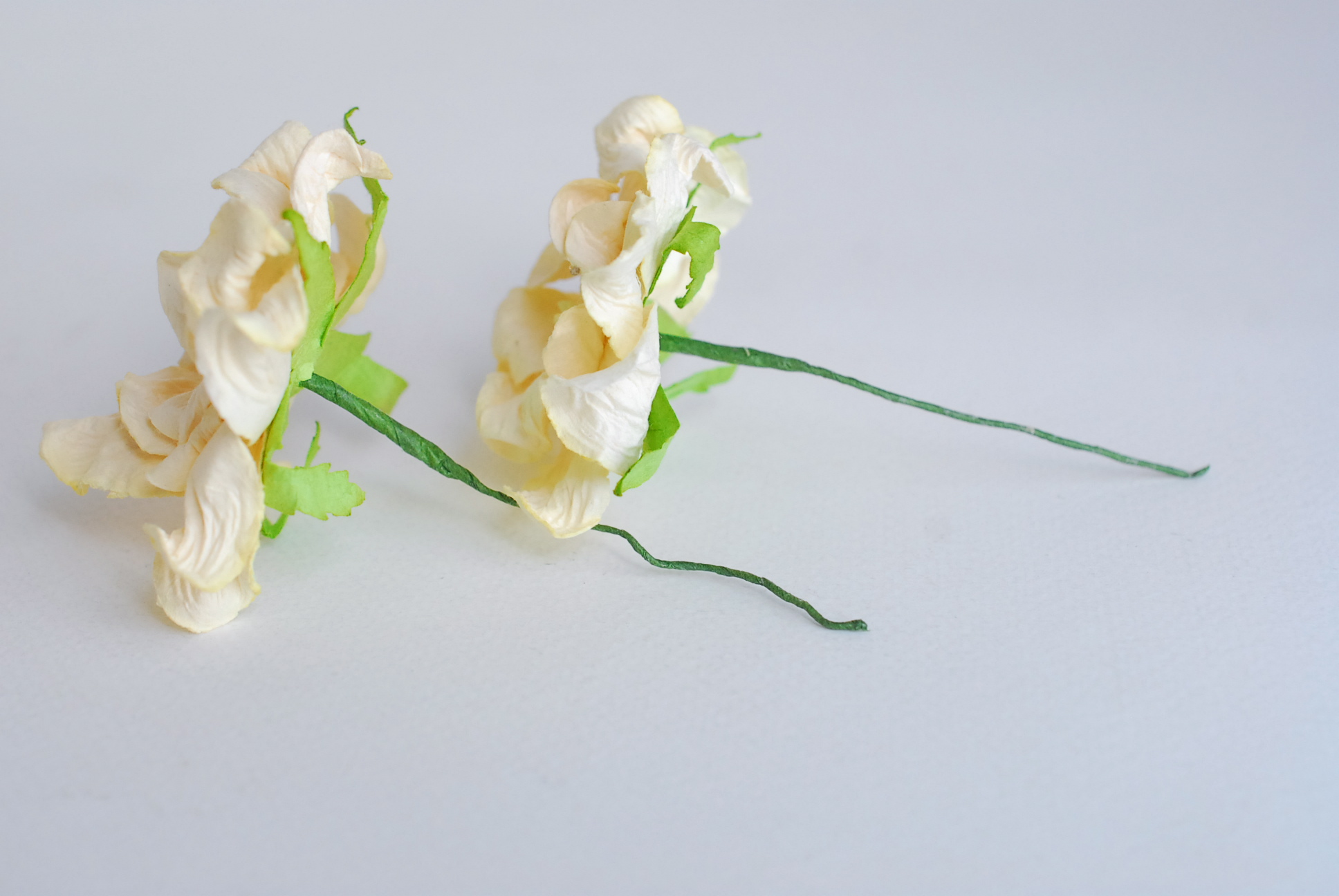 ดอกไม้กระดาษสา ราคาส่ง, ดอกการเดนเนียกระดาษสา ดอกไม้ประดิษฐ์ ตกแต่งงานแต่งงาน ประดิษฐ์ข้อมือเพื่อนเจ้าสาว ขนา่ด 5.5 cm., สำหรับของชำร่วย, งานแต่งงาน, ดอกไม้ทำข้อมือเจ้าสาว สีครีม จำนวน 25 ดอก Paper flower,25 Pieces mulberry gardenia flowers suppiles