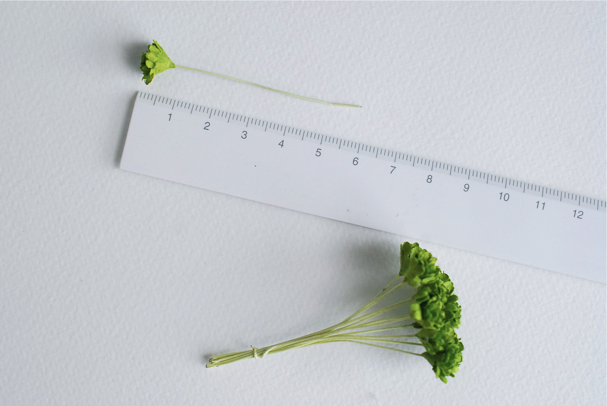 ดอกไม้ประดิษฐ์, ดอกไม้กระดาษสา, ดอก gypsophila, ดอกยิปโซ งานประดิษฐ์ตกแต่งของชำร่วย, ดอกไม้ทำพานพุ่ม,พานพวงมาลัย, พานรับไหว้, ขนาด 1 cm. สีเขียว