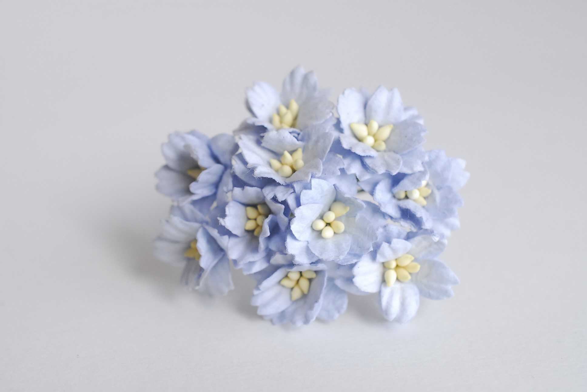 ดอกไม้กระดาษสา ดอกซากุระกระดาษ ขนาดเล็ก ดอกไม้กระดาษสาราคาส่ง ดอกไม้กระดาษสำหรับตกแต่งของชำร่วย งานแต่งงาน ทำช่อดอกไม้ติดอกเจ้าบ่าว ข้อมือดอกไม้เจ้าสาว ขนาด2.0 cm. 50 ดอก สีฟ้าตุ่น Paper flowers supplies: DIY wedding tools small Cherry blossom (Sakura) 50