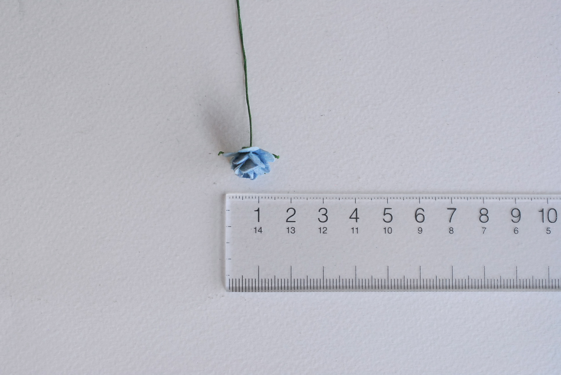 ซื้อ1 ห่อ แถม 1 ห่อ ดอกไม้กุหลาบกระดาษ ดอกไม้กระดาษสา, ดอกกุหลาบจิ๋ว, ดอกไม้กระดาษสาขายส่ง สีฟ้าตุ่น แถมสีฟ้าจุดขาว ขนาด 1.5 cm. จำนวน 100 ดอก Paper Flowers size 1.5 cm., mini roses pale blue color, 100 pcs. and get free 1 pack of blue sky-white color.