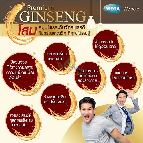 โสมสกัด Mega Ginsomin 20x8 caps. เมก้า จินโซมิน 20x8 แคปซูล.