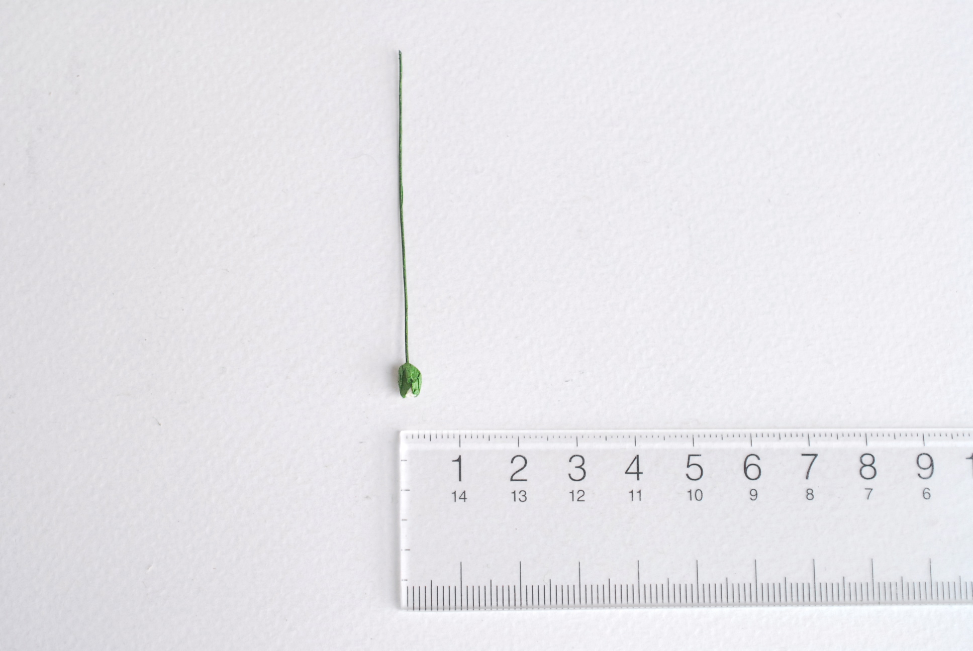 ดอกไม้กระดาษสา ดอกไม้กระดาษสา จตุจักร งานประดิษฐ์ ดอกไม้ทำข้อมือเพื่อนเจ้าสาว แต่งงาน, ดอกกุหลาบตูม 100 ดอก สีแดงปัดสีขาวcolor ขนาด 0.3x0.5 cm. paper flowers, budding roses flower 0.5x0.8 cm. 100 pieces. white color.