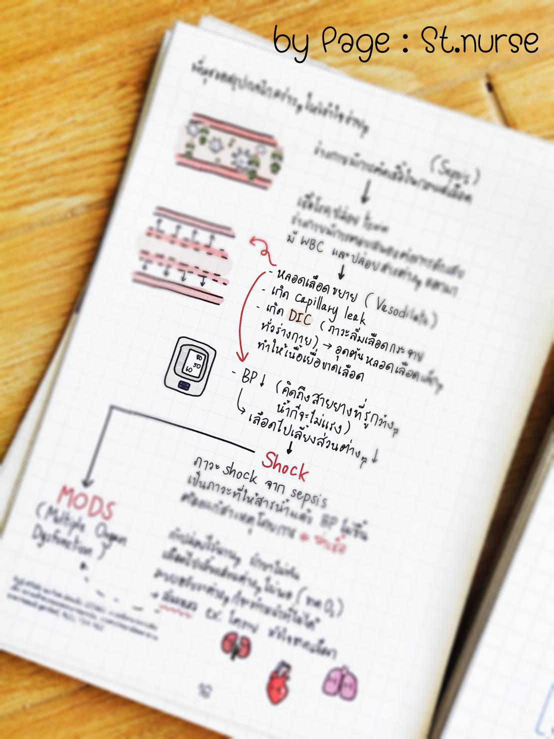 shortnote ผู้ใหญ่ Part2