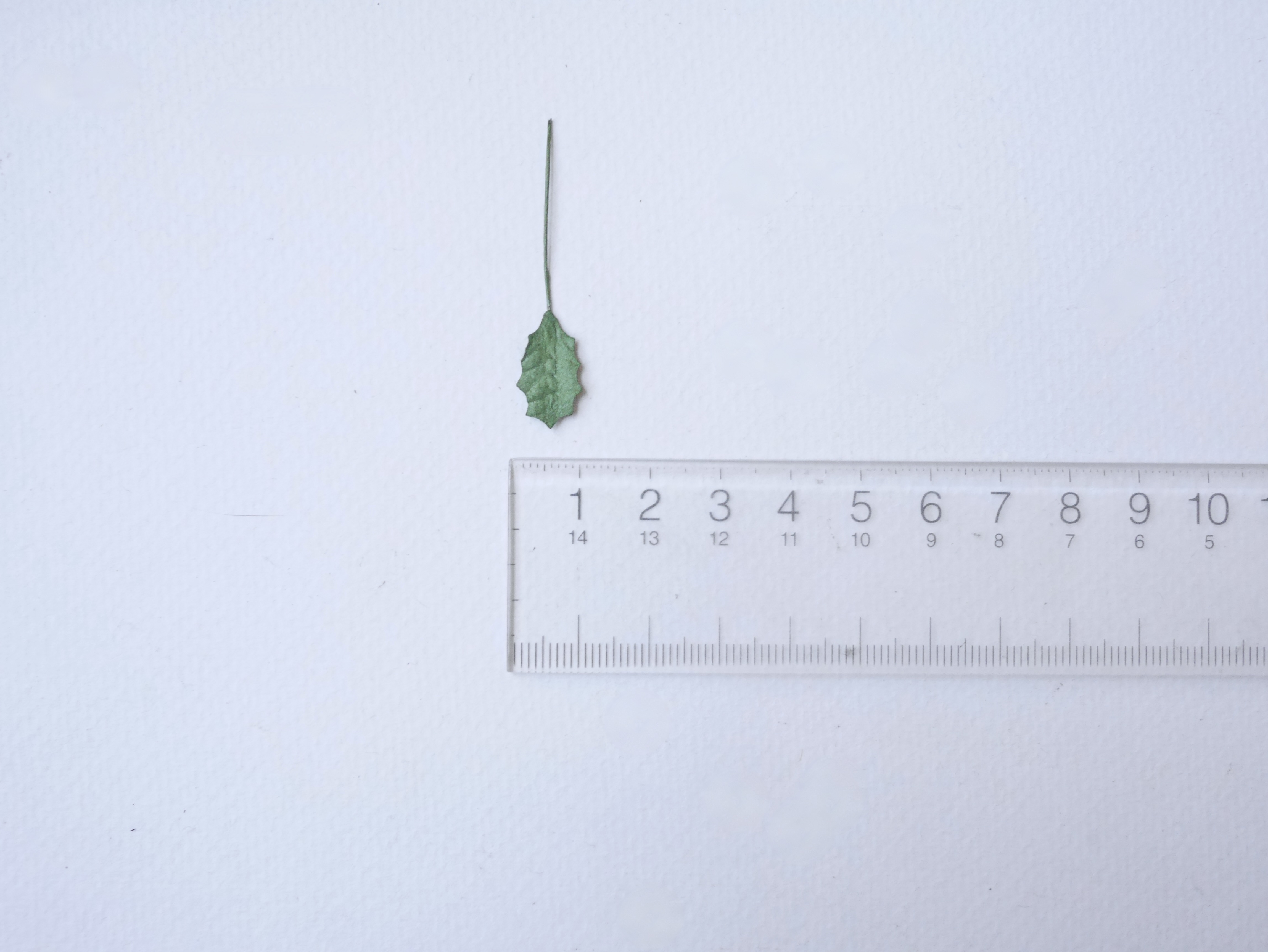 ใบไม้ x'masใบไม้กระดาษสา ราคาส่ง,ใบไม้ ใบchristmas ใบไม้ประดิษฐ์ สำหรับตกแต่ง หรืองานแต่งงาน สีเขียว ขนาด 2 x1.00 cm. จำนวน 100 ใบ