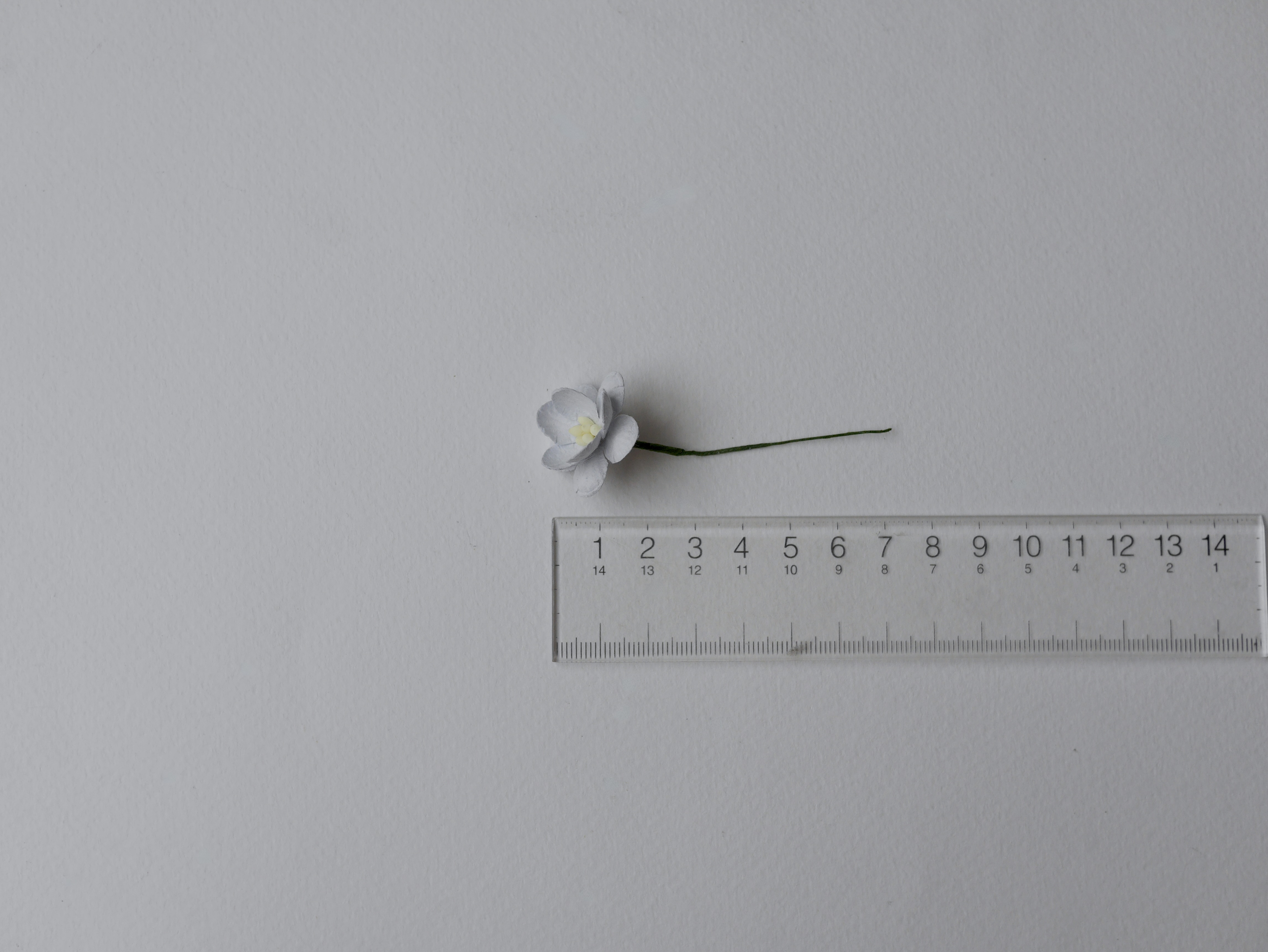 ดอกไม้กระดาษสา ดอกซากุระกระดาษ ขนาดเล็ก ดอกไม้กระดาษสาราคาส่ง ดอกไม้กระดาษสำหรับตกแต่งของชำร่วย งานแต่งงาน ทำช่อดอกไม้ติดอกเจ้าบ่าว ข้อมือดอกไม้เจ้าสาว ขนาด 2.5 cm. 50 ดอก สีเทาฟ้าตุ่น Paper flowers supplies: DIY wedding tools small Cherry blossom (Sakura