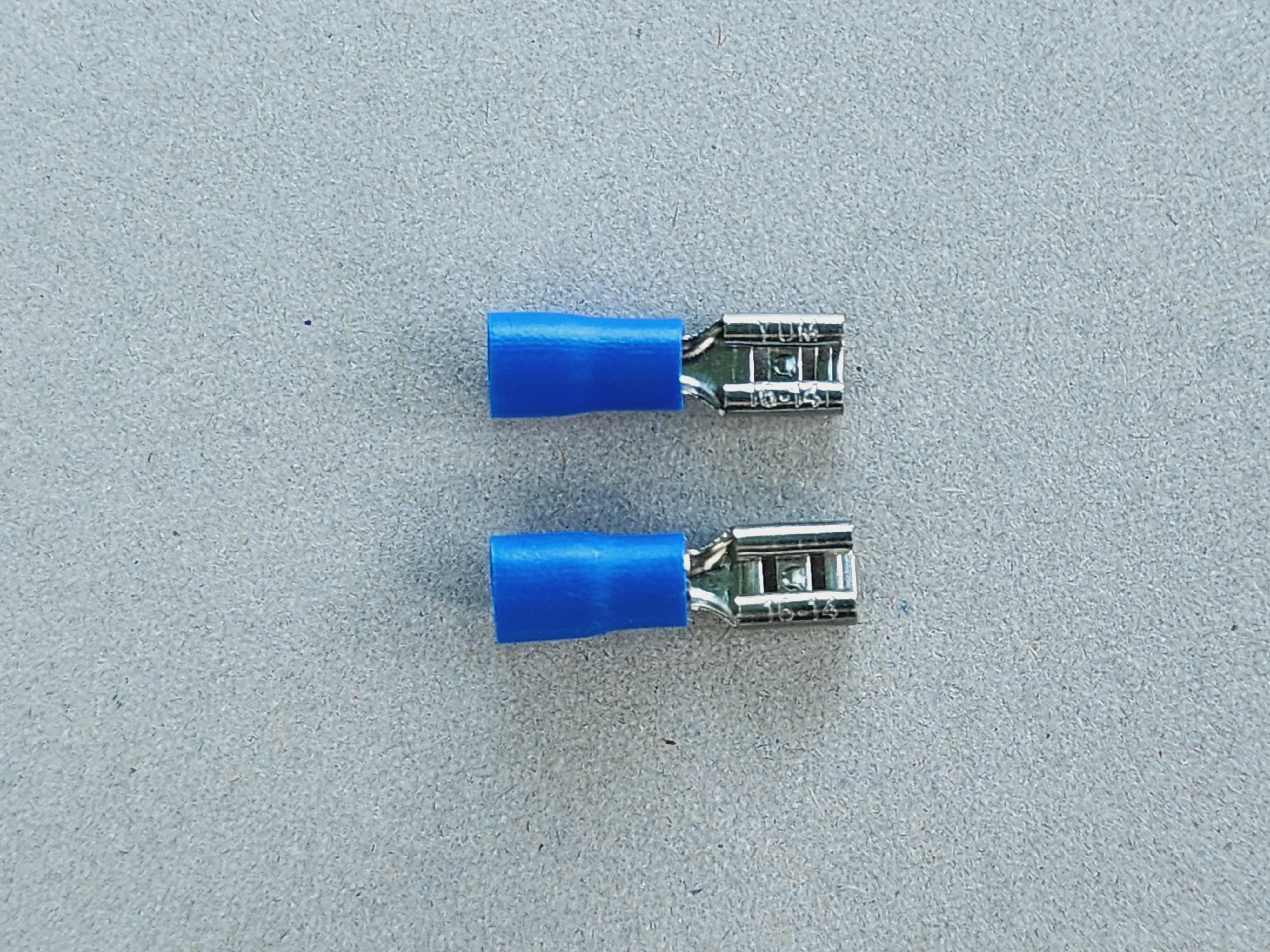 รูปหางปลาเสียบ ตัวเมีย