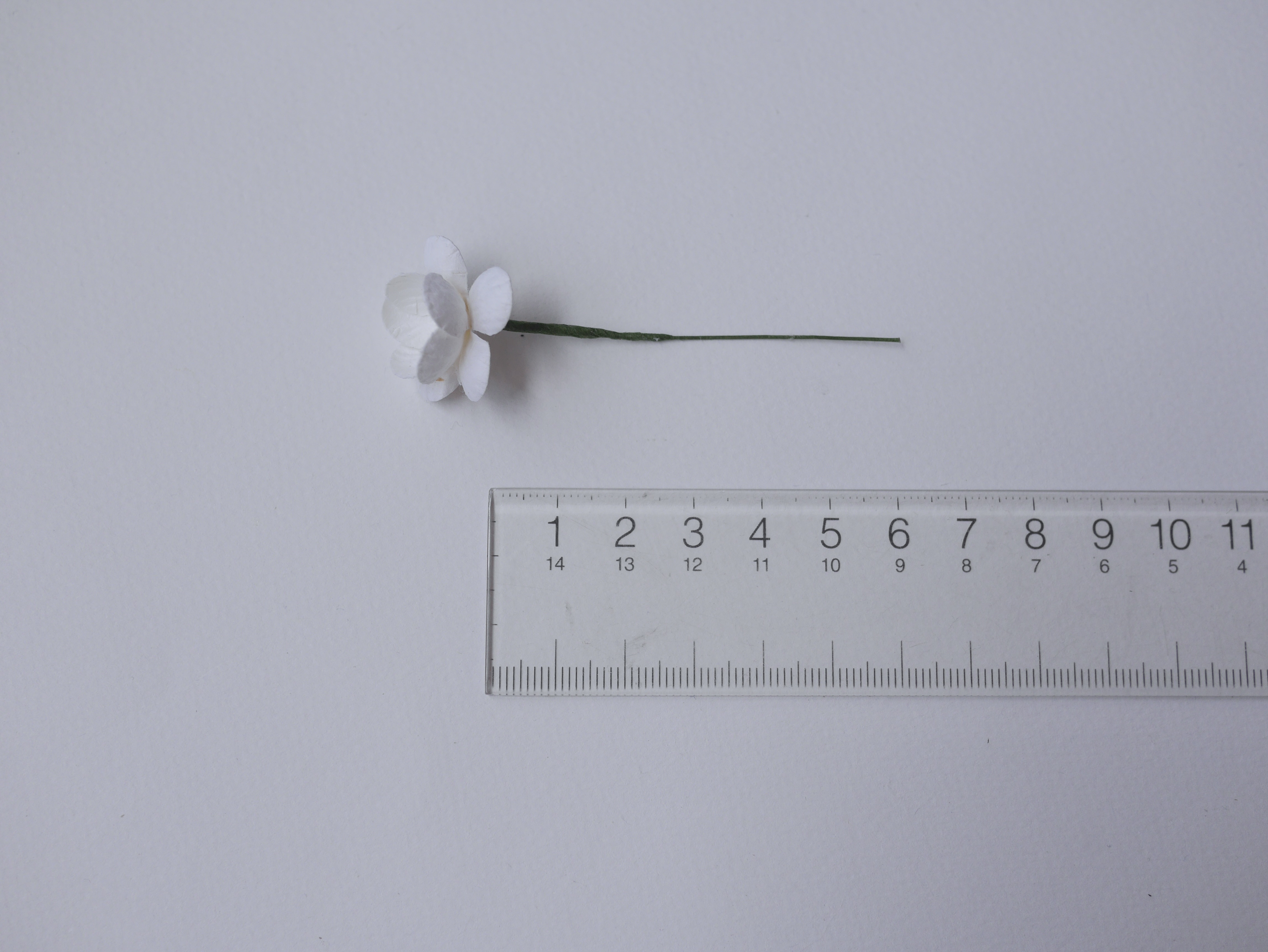 ดอกไม้กระดาษสา ดอกซากุระกระดาษ ขนาดเล็ก ดอกไม้กระดาษสาราคาส่ง ดอกไม้กระดาษสำหรับตกแต่งของชำร่วย งานแต่งงาน ทำช่อดอกไม้ติดอกเจ้าบ่าว ข้อมือดอกไม้เจ้าสาว ขนาด2.5 cm. 50 ดอก สีขาว white Paper flowers supplies: DIY wedding tools small Cherry blossom (Sakura)