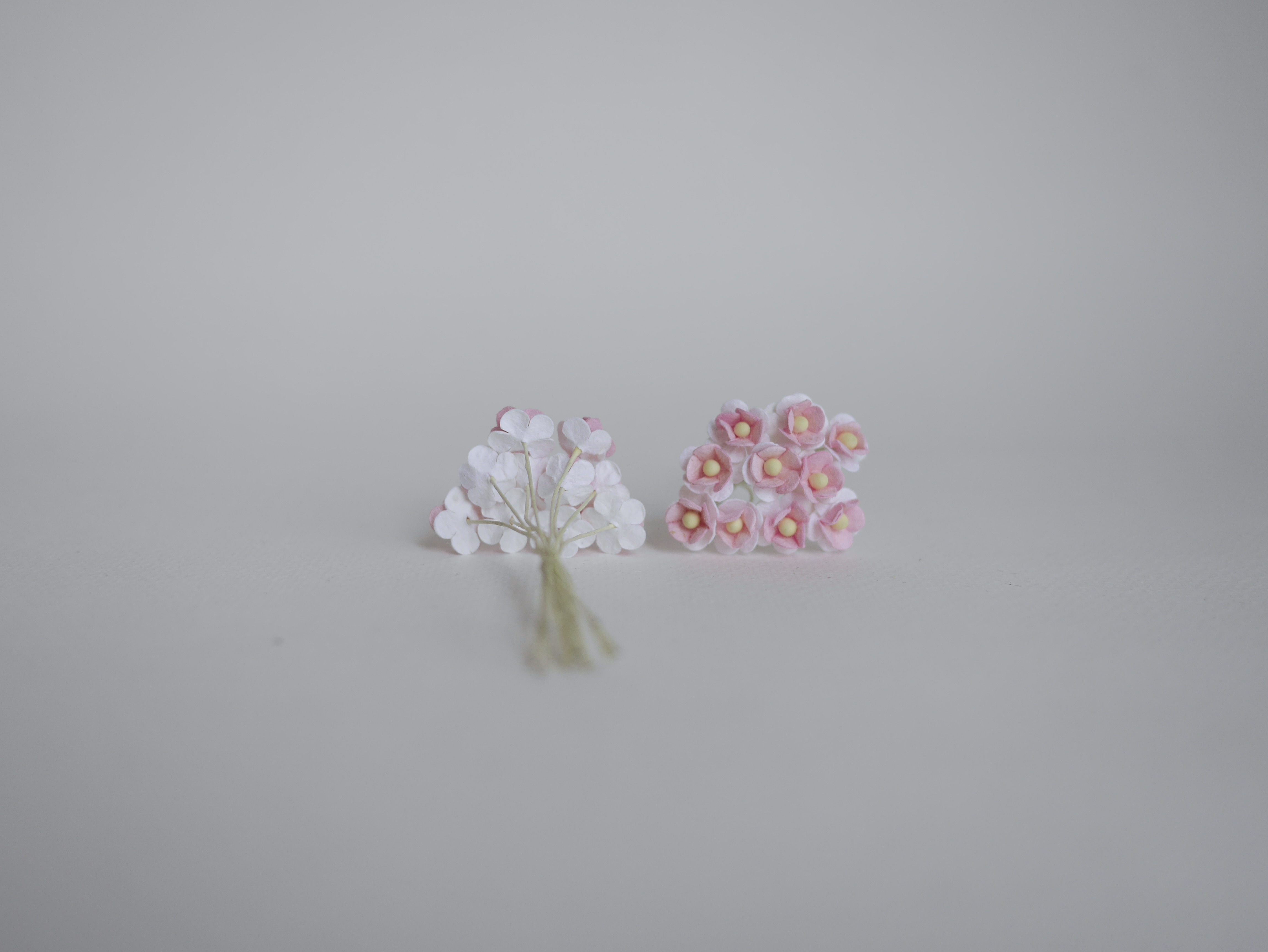 ดอกไม้กระดาษสา ดอกไม้กระดาษสาราคาส่ง ดอกไม้กระดาษสำหรับตกแต่ง งานแต่งงาน หรือติดของชำร่วย ดอก creeping lady 100 ดอก ขนาด 0.8 cm. สีชมพู-ขาว 2สี Small Paper Flower with stem, 100 pcs., size 0.8 cm., creeping flowers 2 layers, pink-white 2tone color