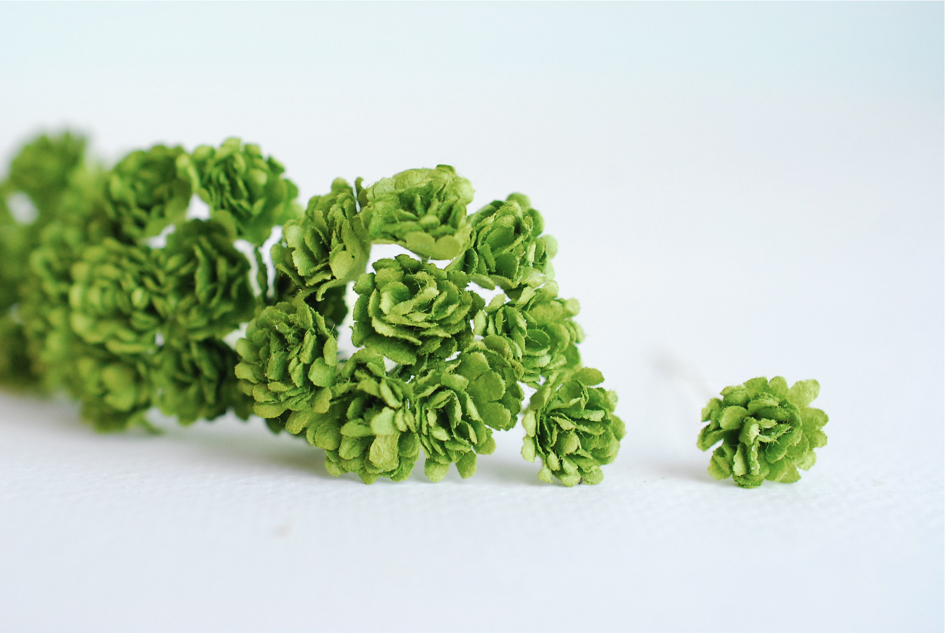 ดอกไม้ประดิษฐ์, ดอกไม้กระดาษสา, ดอก gypsophila, ดอกยิปโซ งานประดิษฐ์ตกแต่งของชำร่วย, ดอกไม้ทำพานพุ่ม,พานพวงมาลัย, พานรับไหว้, ขนาด 1 cm. สีเขียว