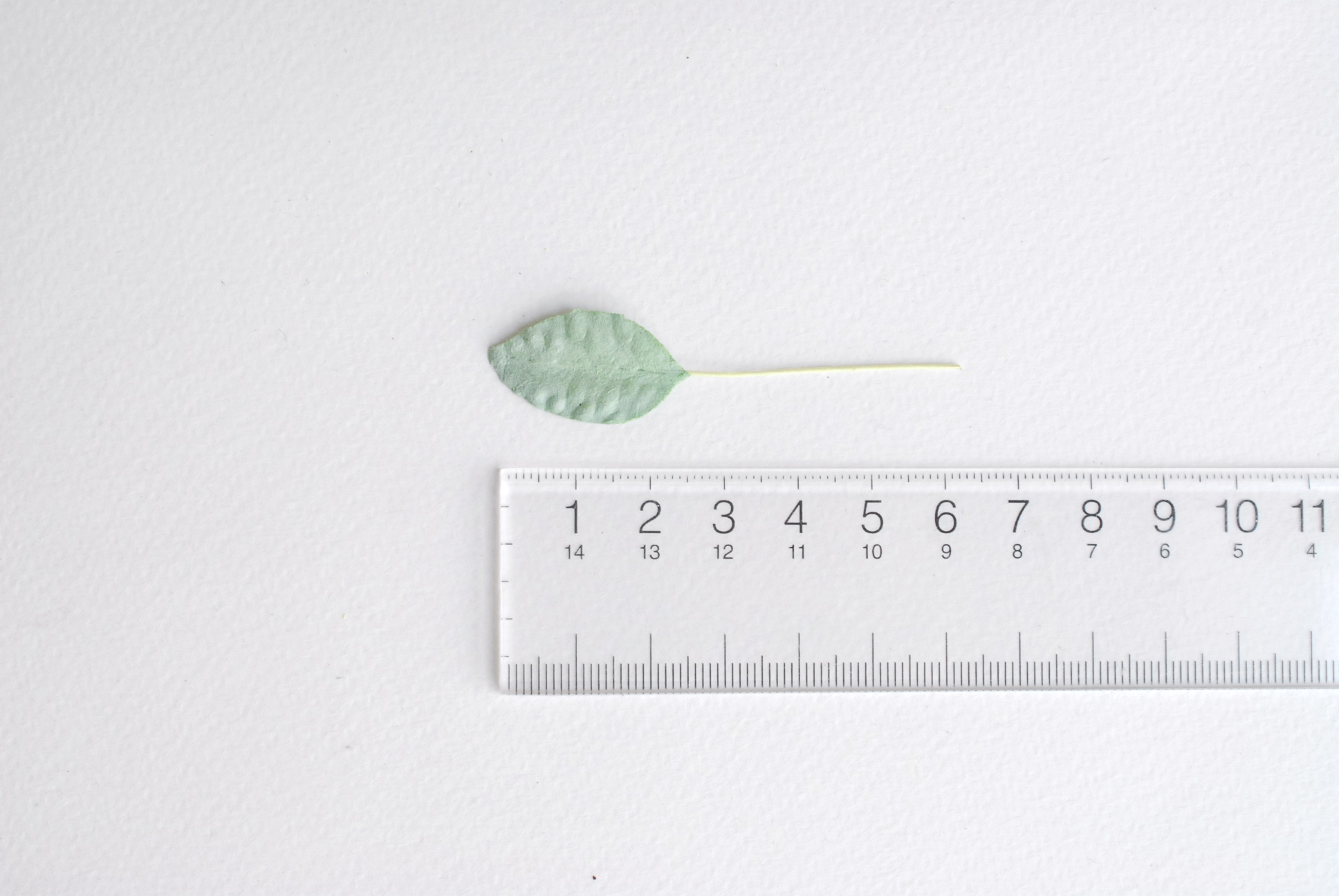 ใบไม้กระดาษ ใบไม้กระดาษสา ราคาส่ง,ใบไม้กุหลาบกระดาษ สำหรับดอกมะลิกระดาษสา ใบไม้ประดิษฐ์ สำหรับตกแต่ง หรืองานแต่งงาน สีเขียว ขนาด 2.5x1.5 cm. จำนวน 100 ใบ