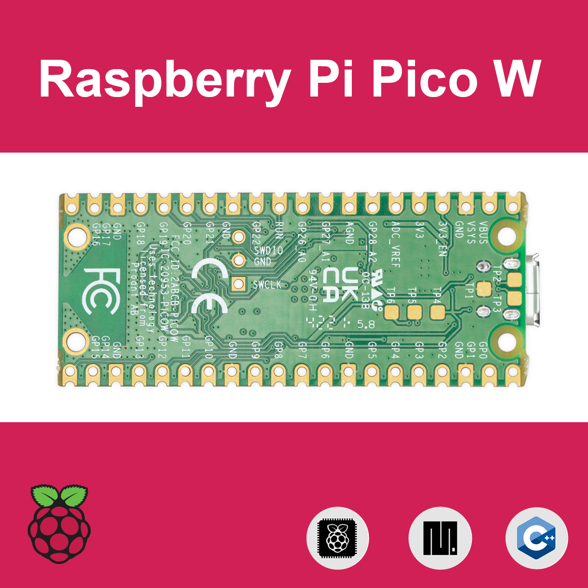 Raspberry Pi Pico W