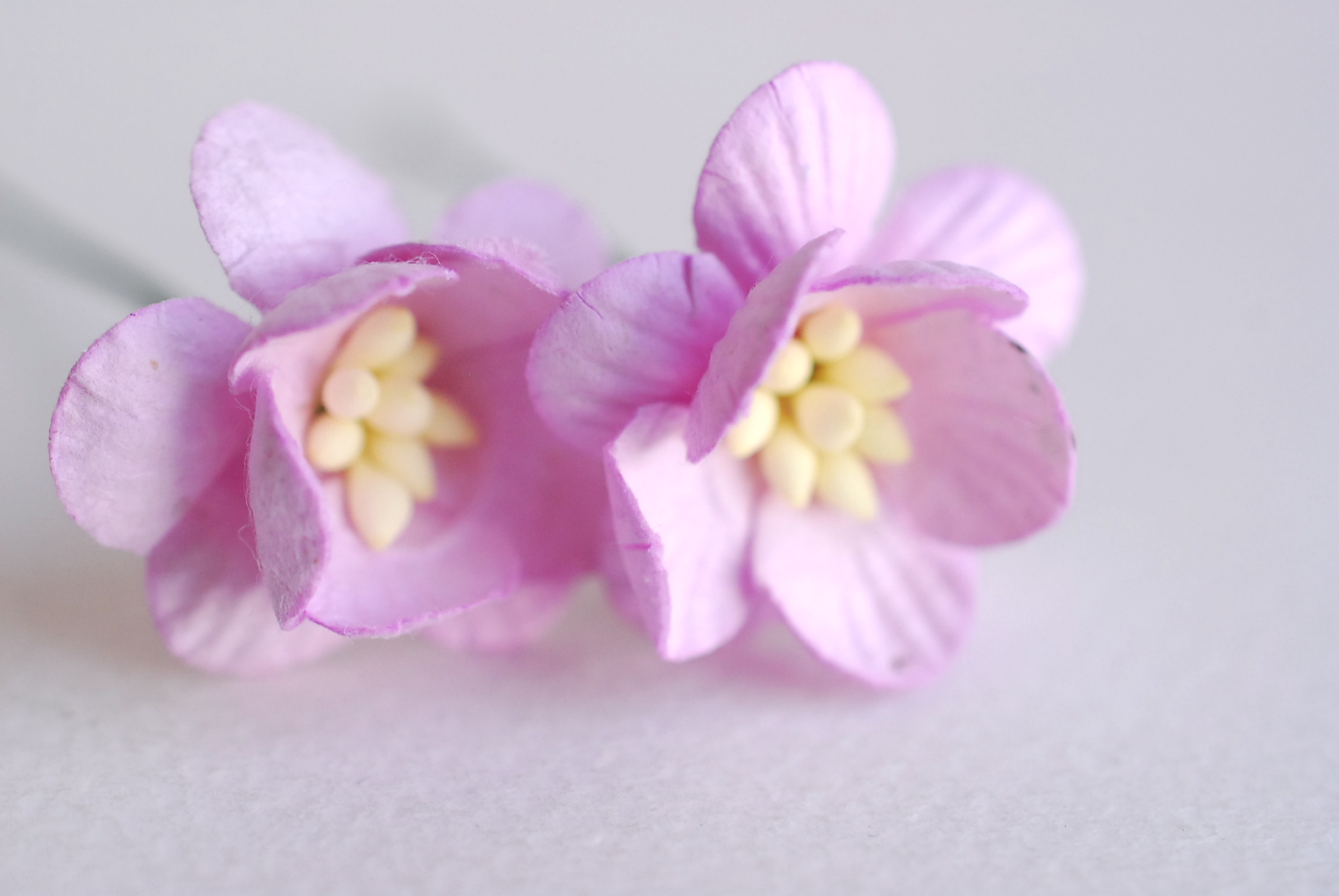 ดอกไม้กระดาษสา ดอกซากุระกระดาษ ดอกไม้กระดาษสาราคาส่ง ดอกไม้กระดาษสำหรับตกแต่งของชำร่วย งานแต่งงาน ทำช่อดอกไม้ติดอกเจ้าบ่าว ข้อมือดอกไม้เจ้าสาว ขนาด2.5 cm. 50 ดอก สีม่วงอ่อน Paper flowers supplies: DIY wedding tools Cherry blossom (Sakura) 50 pcs. size 2.5