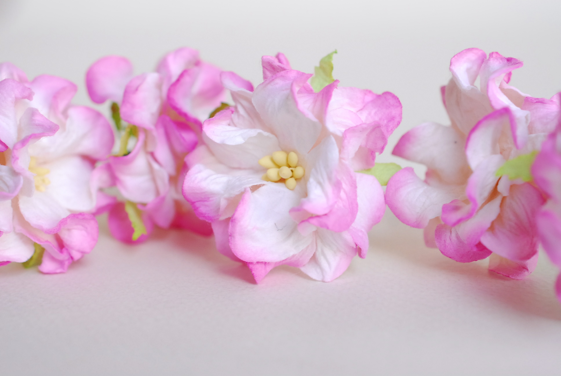 ดอกไม้กระดาษสา ราคาส่ง, ดอกการเดนเนียกระดาษสา ดอกไม้ประดิษฐ์ ตกแต่งงานแต่งงาน ประดิษฐ์ข้อมือเพื่อนเจ้าสาว ขนา่ด 3.5 cm., สำหรับของชำร่วย, งานแต่งงาน, ดอกไม้ทำข้อมือเจ้าสาว สีชมพูัดขาว จำนวน 25 ดอก Paper flower,25 Pieces mulberry gardenia flowers supplies