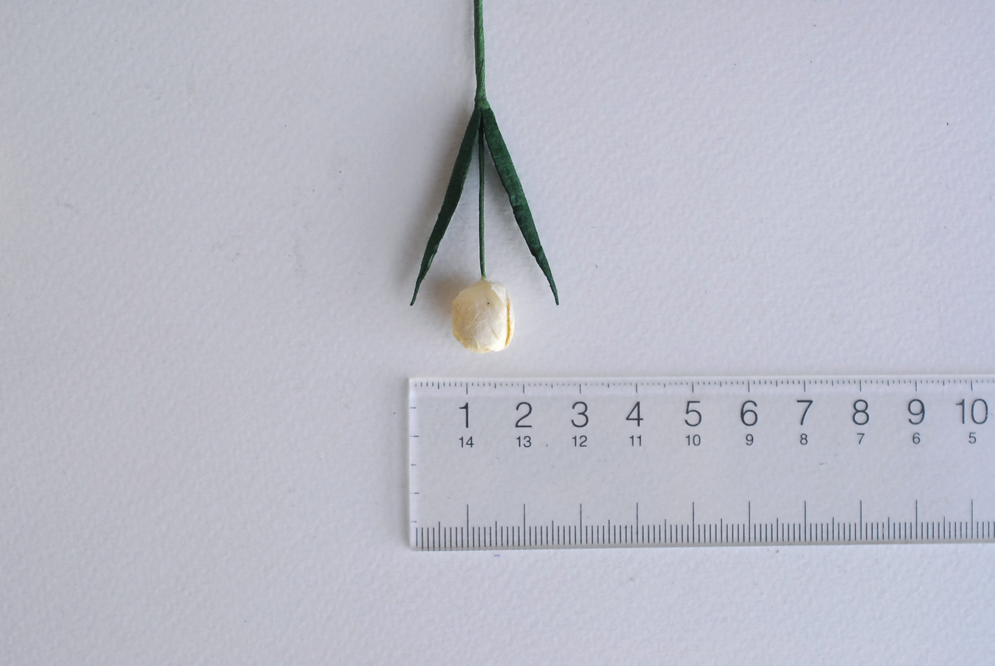 ดอกไม้ประดิษฐ์, ดอกไม้กระดาษสา, ดอกtulips, ดอกทิวลิปส์, ก้านสีเขียว เกสรสีขาว งานประดิษฐ์ตกแต่งของชำร่วย,ทำการ์ดรับเชิญ,ช่อดอกไม้ขนาดเล็ก, ขนาด 1.5 cm. สีขาวครีม