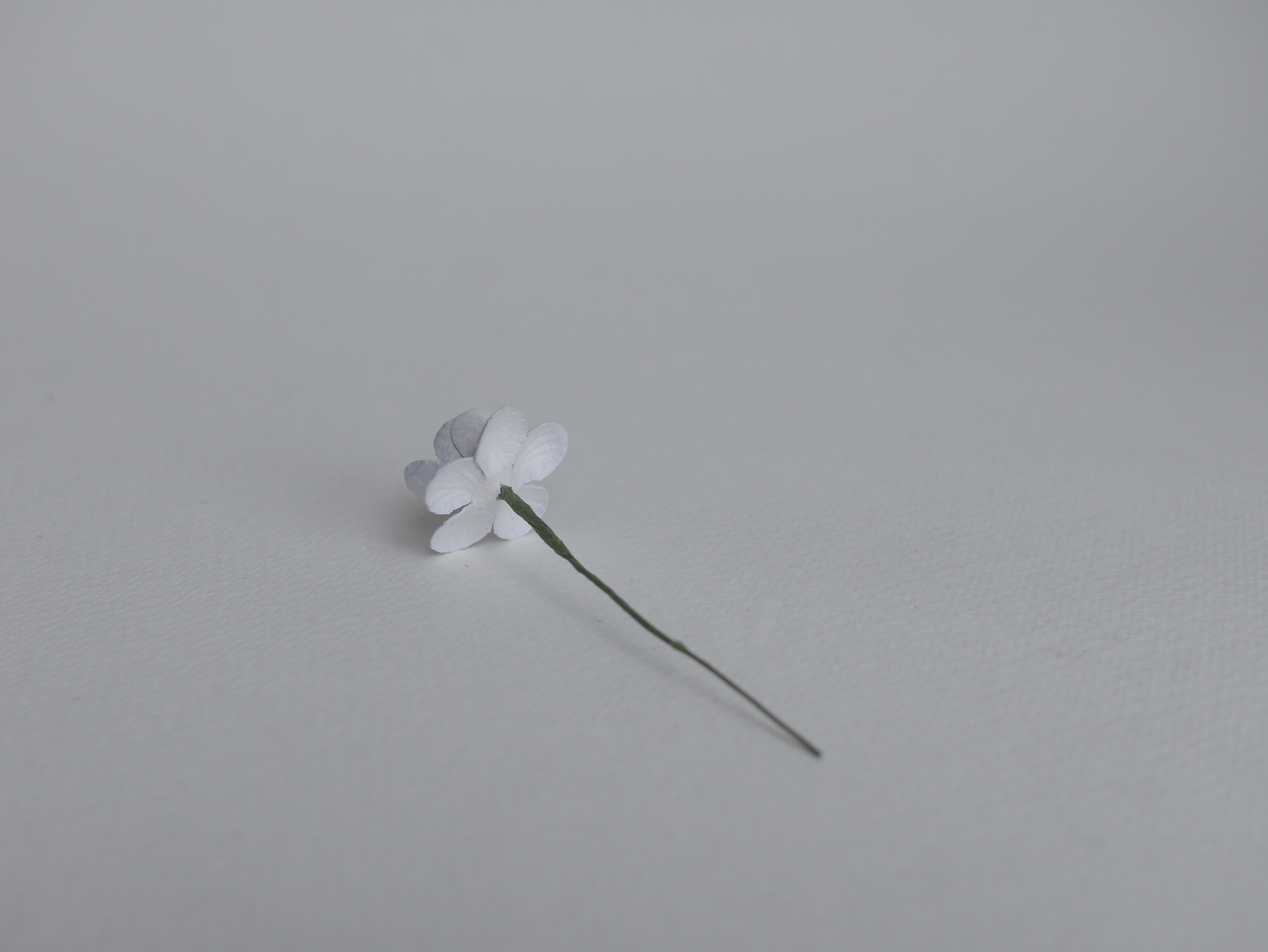 ดอกไม้กระดาษสา ดอกซากุระกระดาษ ขนาดเล็ก ดอกไม้กระดาษสาราคาส่ง ดอกไม้กระดาษสำหรับตกแต่งของชำร่วย งานแต่งงาน ทำช่อดอกไม้ติดอกเจ้าบ่าว ข้อมือดอกไม้เจ้าสาว ขนาด 2.5 cm. 50 ดอก สีเทาฟ้าตุ่น Paper flowers supplies: DIY wedding tools small Cherry blossom (Sakura