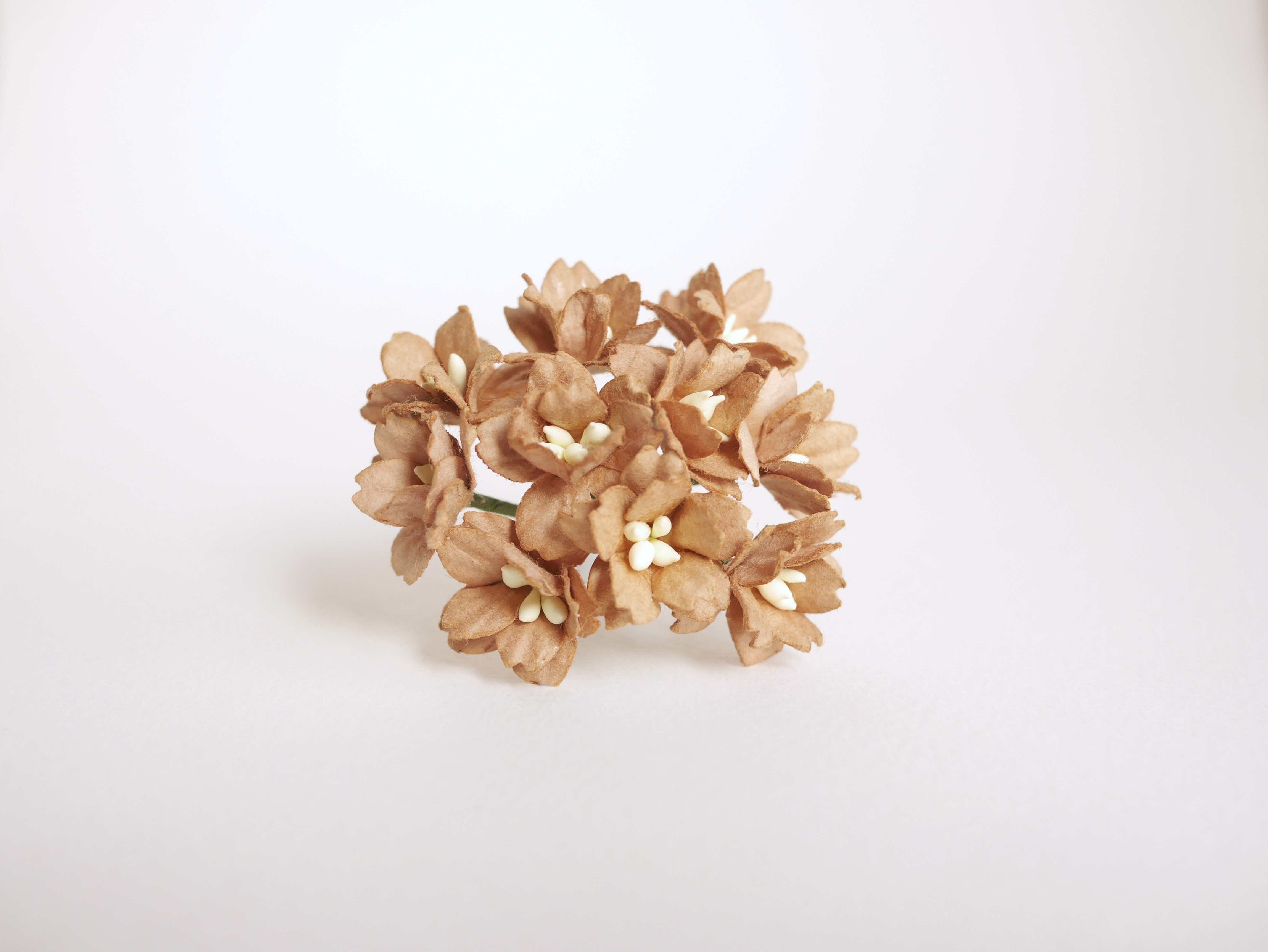 ดอกไม้กระดาษสา ดอกซากุระกระดาษ ขนาดเล็ก ดอกไม้กระดาษสาราคาส่ง ดอกไม้กระดาษสำหรับตกแต่งของชำร่วย งานแต่งงาน ทำช่อดอกไม้ติดอกเจ้าบ่าว ข้อมือดอกไม้เจ้าสาว ขนาด2.0 cm. 50 ดอก สีน้ำตาล Paper flowers supplies: DIY wedding tools small Cherry blossom (Sakura)