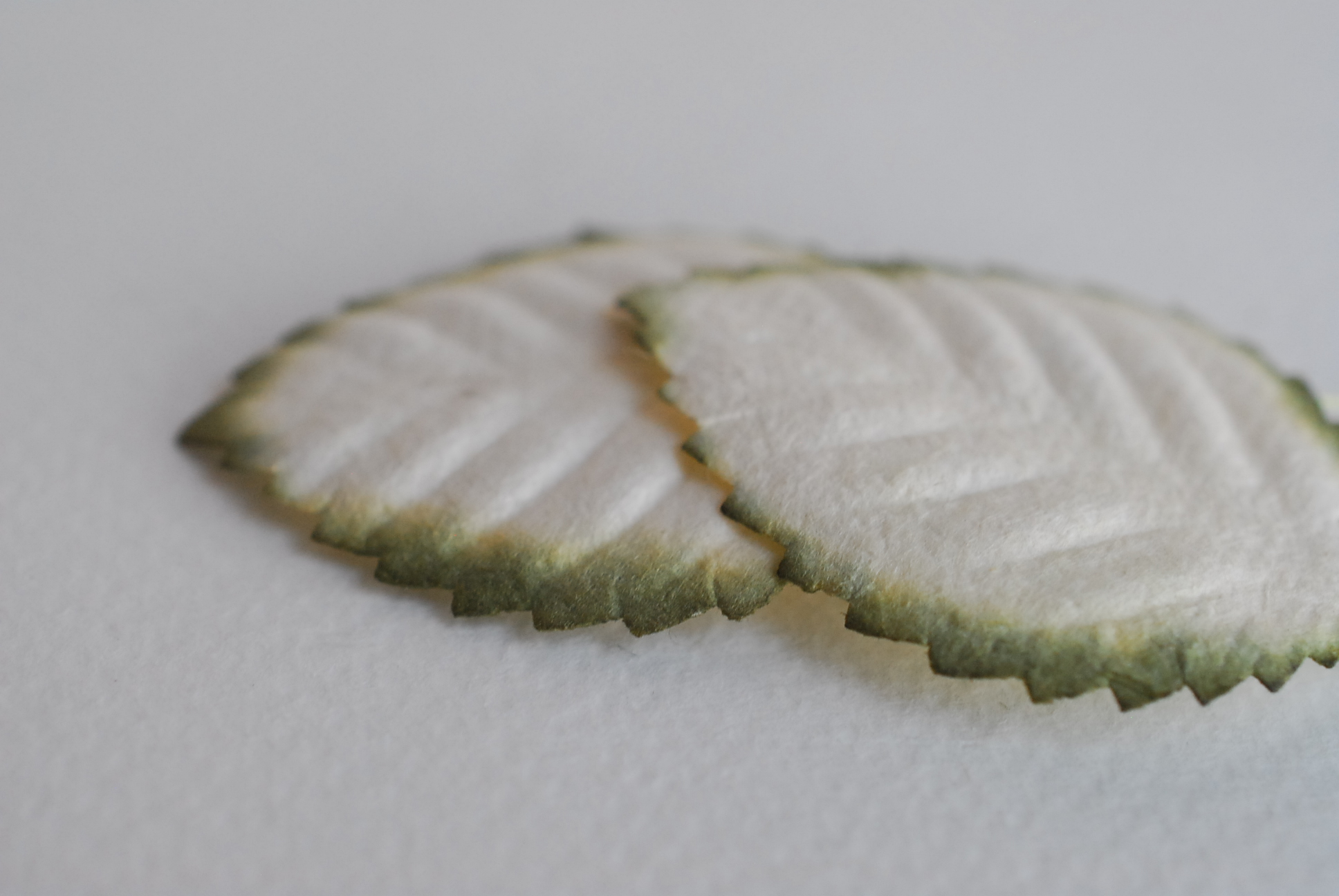 ใบไม้กระดาษ ใบไม้กระดาษสา ราคาส่ง,ใบไม่้กุหลาบกระดาษ สำหรับดอกกุหลาบกระดาษสา ใบไม้ประดิษฐ์ สำหรับตกแต่ง หรืองานแต่งงาน สีขาวปัดเขียวแก่ ขนาด 4.5x2.5 cm. จำนวน 50 ใบ