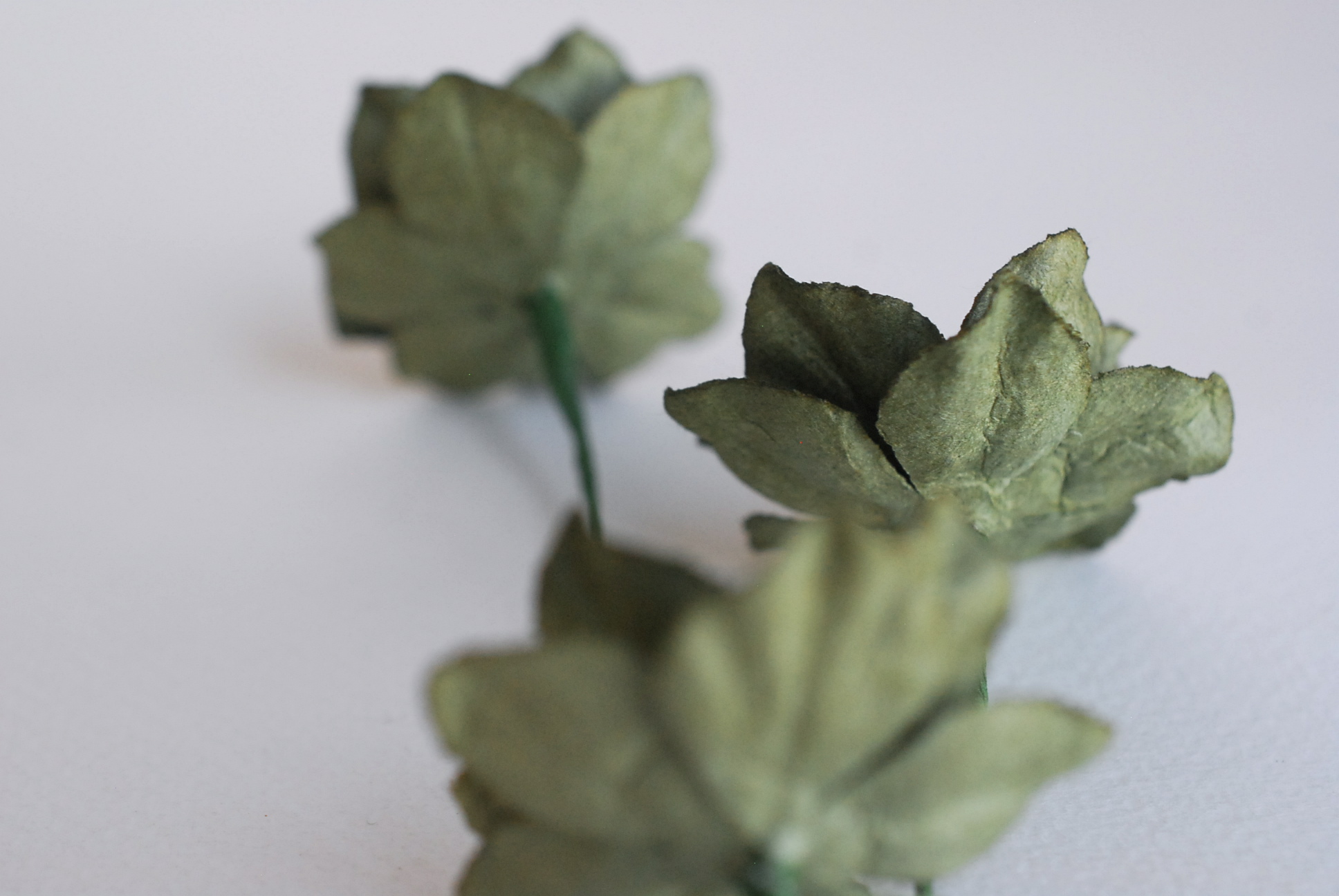 ดอกไม้กระดาษสา ดอกโลตัสอินโดนิเซียกระดาษ ดอกไม้กระดาษสาราคาส่ง ดอกไม้กระดาษสำหรับตกแต่งของชำร่วย งานแต่งงาน ทำช่อดอกไม้ติดอกเจ้าบ่าว ข้อมือดอกไม้เจ้าสาว ขนาด3.5 cm. 25 ดอก สีเขียวทหารเข้ม Paper flowers supplies: DIY wedding tools Big Cherry blossom (Lotus