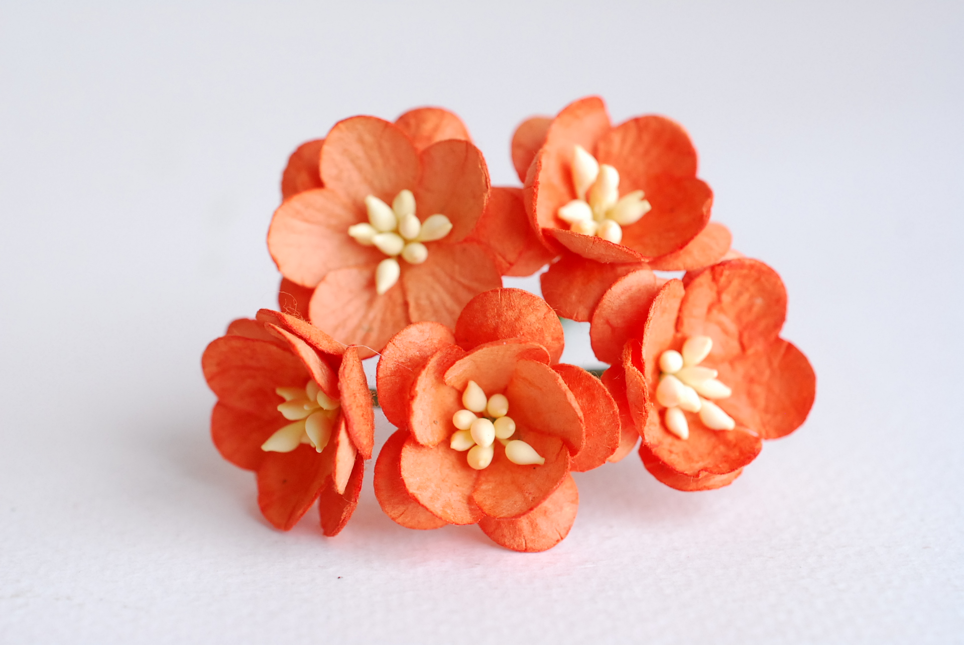 ดอกไม้กระดาษสา ดอกซากุระกระดาษสีส้ม ดอกไม้กระดาษสาราคาส่ง ดอกไม้กระดาษสำหรับตกแต่งของชำร่วย งานแต่งงาน ทำช่อดอกไม้ติดอกเจ้าบ่าว ข้อมือดอกไม้เจ้าสาว ขนาด2.5 cm. 50 ดอก Paper flowers supplies: DIY wedding tools Cherry blossom (Sakura) 50 pcs. size 2.5 cm.