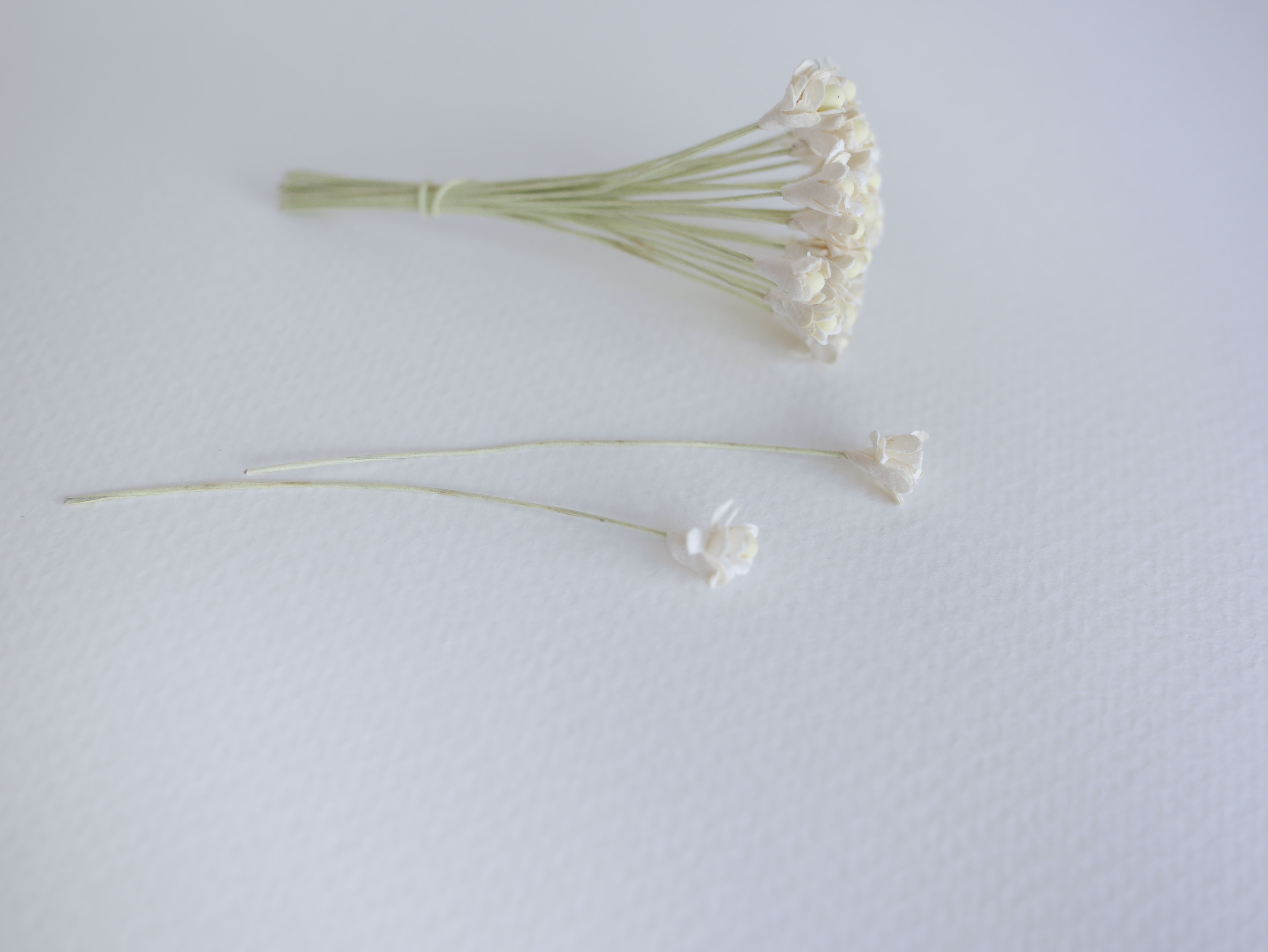 ดอกไม้ประดิษฐ์, ดอกไม้กระดาษสา, ดอก gypsophila, ดอกยิปโซ งานประดิษฐ์ตกแต่งของชำร่วย, ดอกไม้ทำพานพุ่ม, พานรับไหว้, ขนาด 0.8 cm. สีงาช้าง เกสรสีครีม ivory color with pollen