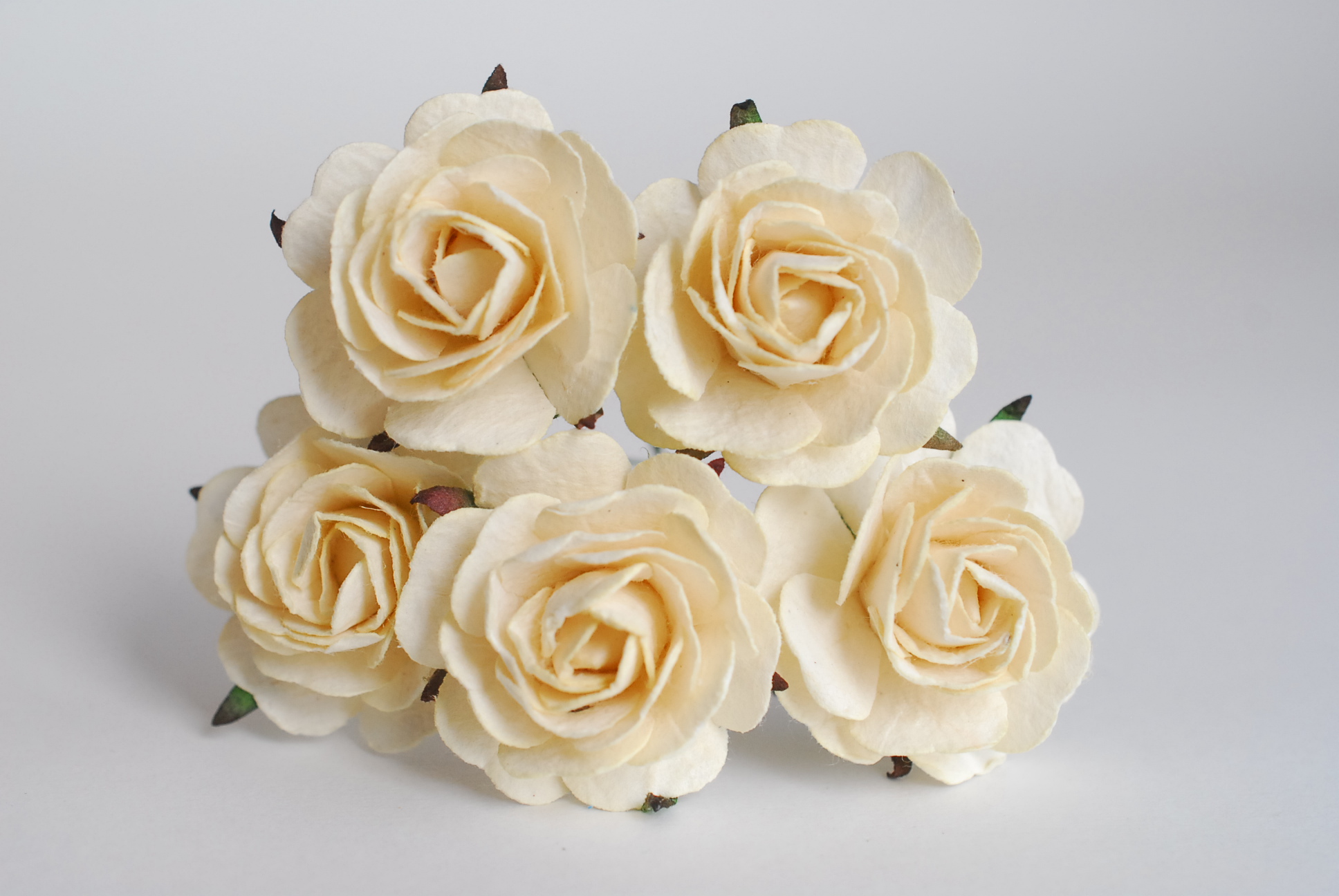 ดอกไม้กระดาษสา ราคาส่ง, ดอกกุหลาบกระดาษสา ดอกไม้ประดิษฐ์ สำหรับตกแต่ง หรืองานแต่งงาน สีครีมขนาด 3.5 cm. จำนวน 25 ดอก Paper flowers, handmade flowers, small roses paper size 3.5 cm. 25 pieces, ivory color.