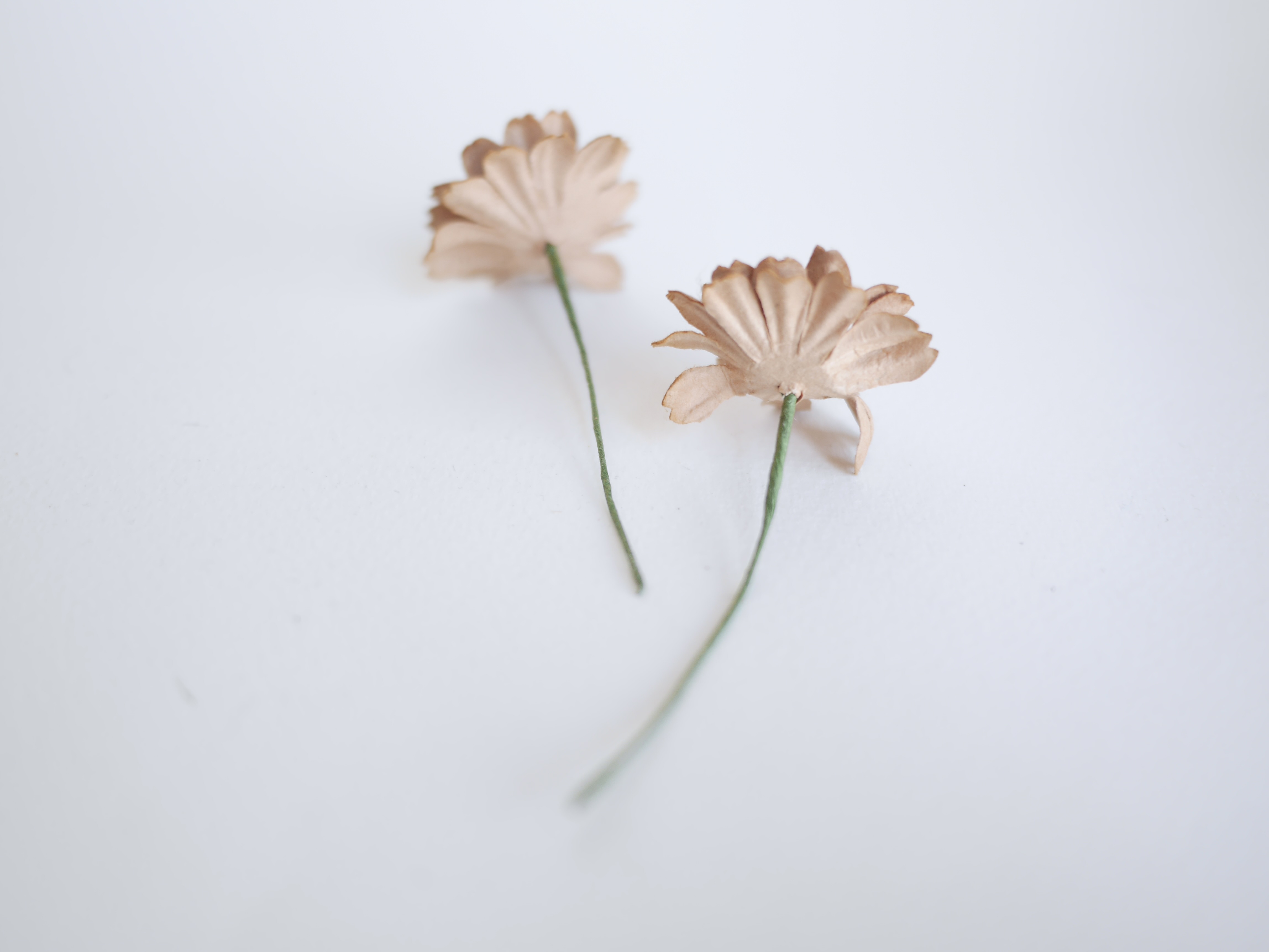 ดอกไม้กระดาษสา ดอกไม้ประดิษฐ์จากกระดาษสา ดอกไม้กระดาษสาขายส่ง ดอกไม้ประดิษฐ์ ดอกไม้ทำข้อมือเพื่อนเจ้าสาว ดอก daisy ขนาด 3.5 cm. จำนวน 25 ดอก สีน้ำตาล Paper Flower, 25 Daisy Flowers, brown color, size 3.5 cm., ivory pollen