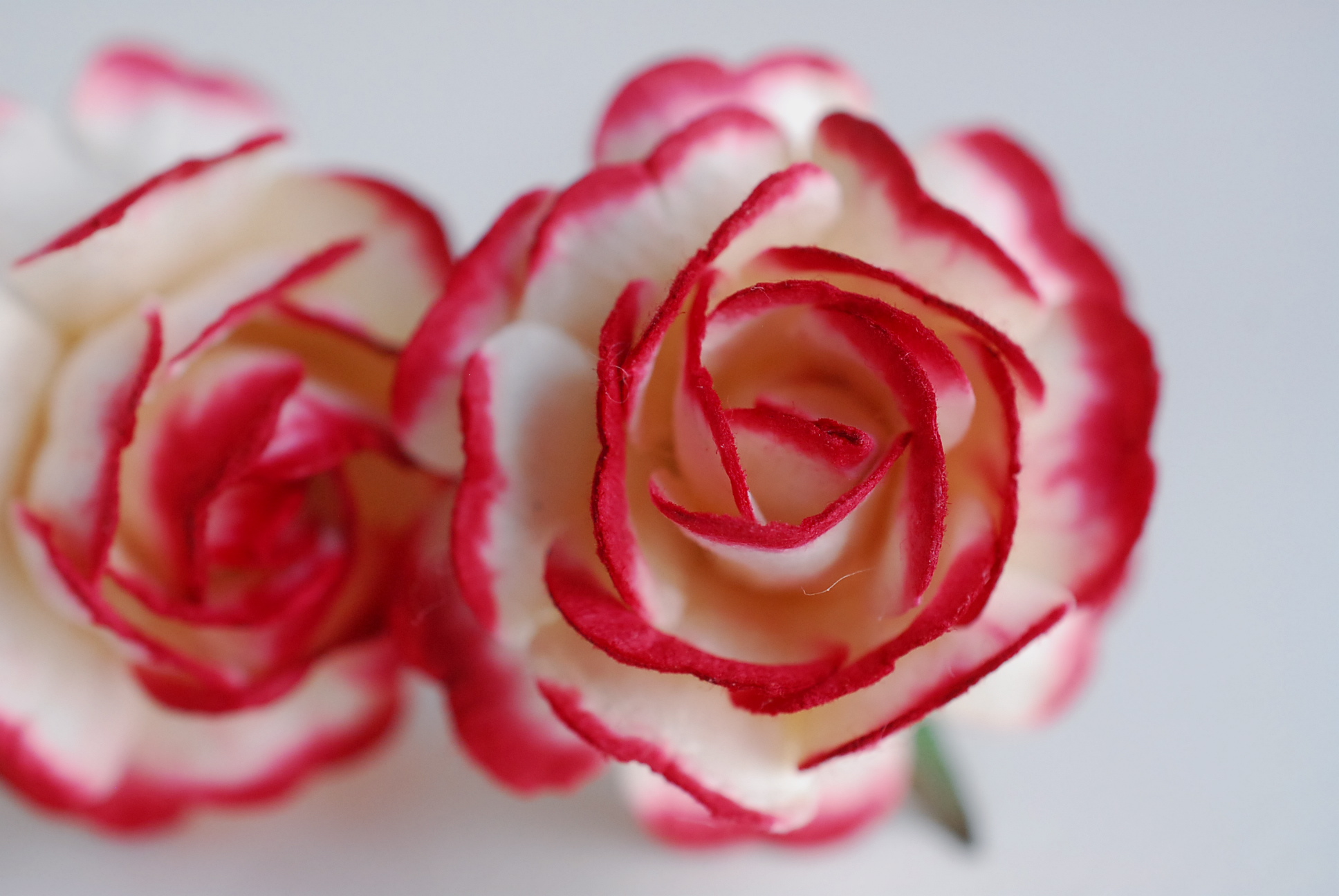 ดอกไม้กุหลาบกระดาษ ดอกไม้กระดาษสา, ของชำร่วย,ดอกกุหลาบ, ดอกไม้ประดิษฐ์สำหรับงานแต่งงาน จำนวน 25 ดอก, สีแดงเข้มปัด Paper Flower, 25 pieces roses paper size 3.5 cm., dark red brush white color.