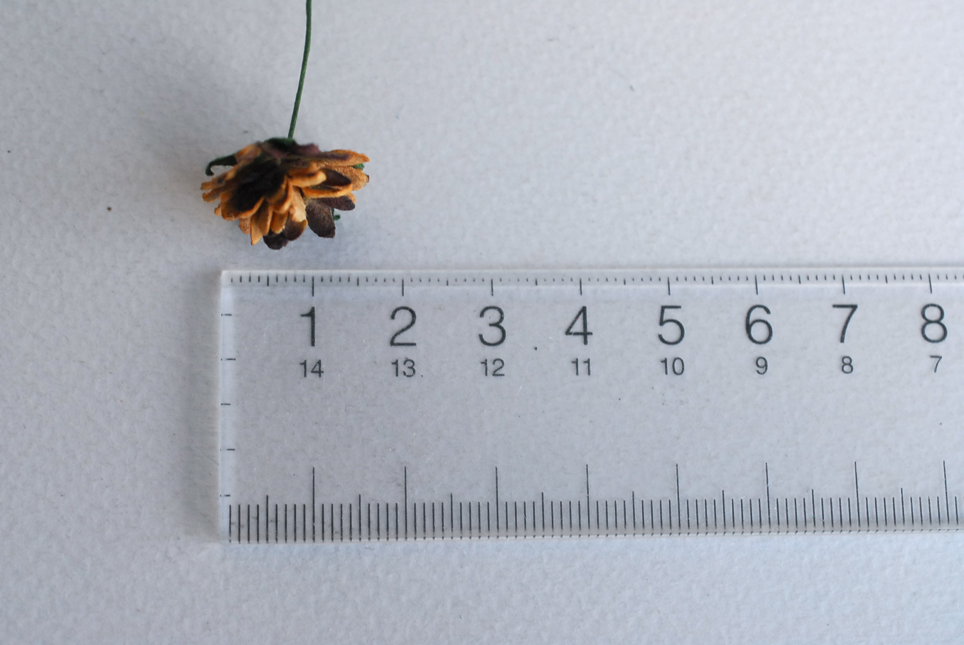 ดอกไม้ประดิษฐ์, ดอกไม้กระดาษสา, ดอก gypsophila, ดอกยิปโซ งานประดิษฐ์ตกแต่งของชำร่วย, ดอกไาด 1.5 cmม้ทำพานพุ่ม,พานพวงมาลัย, พานรับไหว้, ขันหมาก. สีน้ำตาลไหม้ปัด