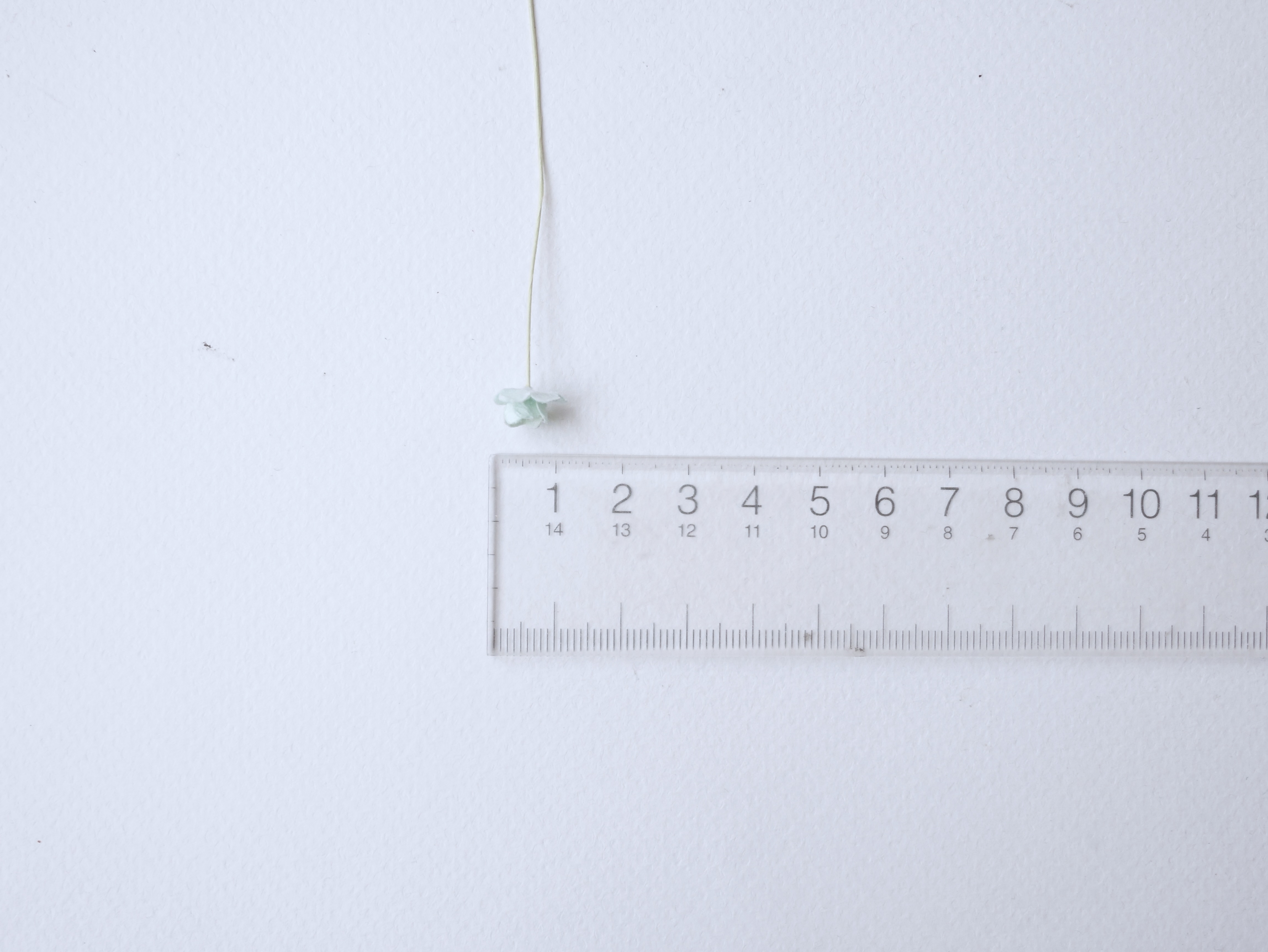 ดอกไม้กระดาษสา ดอกไม้กระดาษสาราคาส่ง ดอกไม้กระดาษสำหรับตกแต่ง งานแต่งงาน หรือติดของชำร่วย ดอก creeping lady 100 ดอก ขนาด 0.8 cm. สีมิ้นท์ Small Paper Flower with stem, , 100 pcs., size 0.8 cm., small flowers 2 layers, pastel mint color.