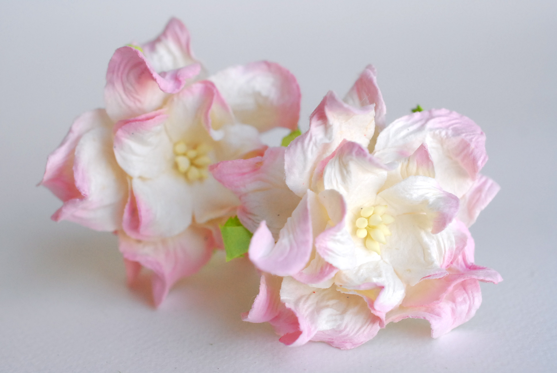 ดอกไม้กระดาษสา ราคาส่ง, ดอกการเดนเนียกระดาษสา ดอกไม้ประดิษฐ์ ตกแต่งงานแต่งงาน ประดิษฐ์ข้อมือเพื่อนเจ้าสาว ขนา่ด 5.5 cm., สำหรับของชำร่วย, งานแต่งงาน, ดอกไม้ทำข้อมือเจ้าสาว สีชมพูอ่อนปัดขาว จำนวน 25 ดอก Paper flower,25 Pieces mulberry gardenia flowers supp