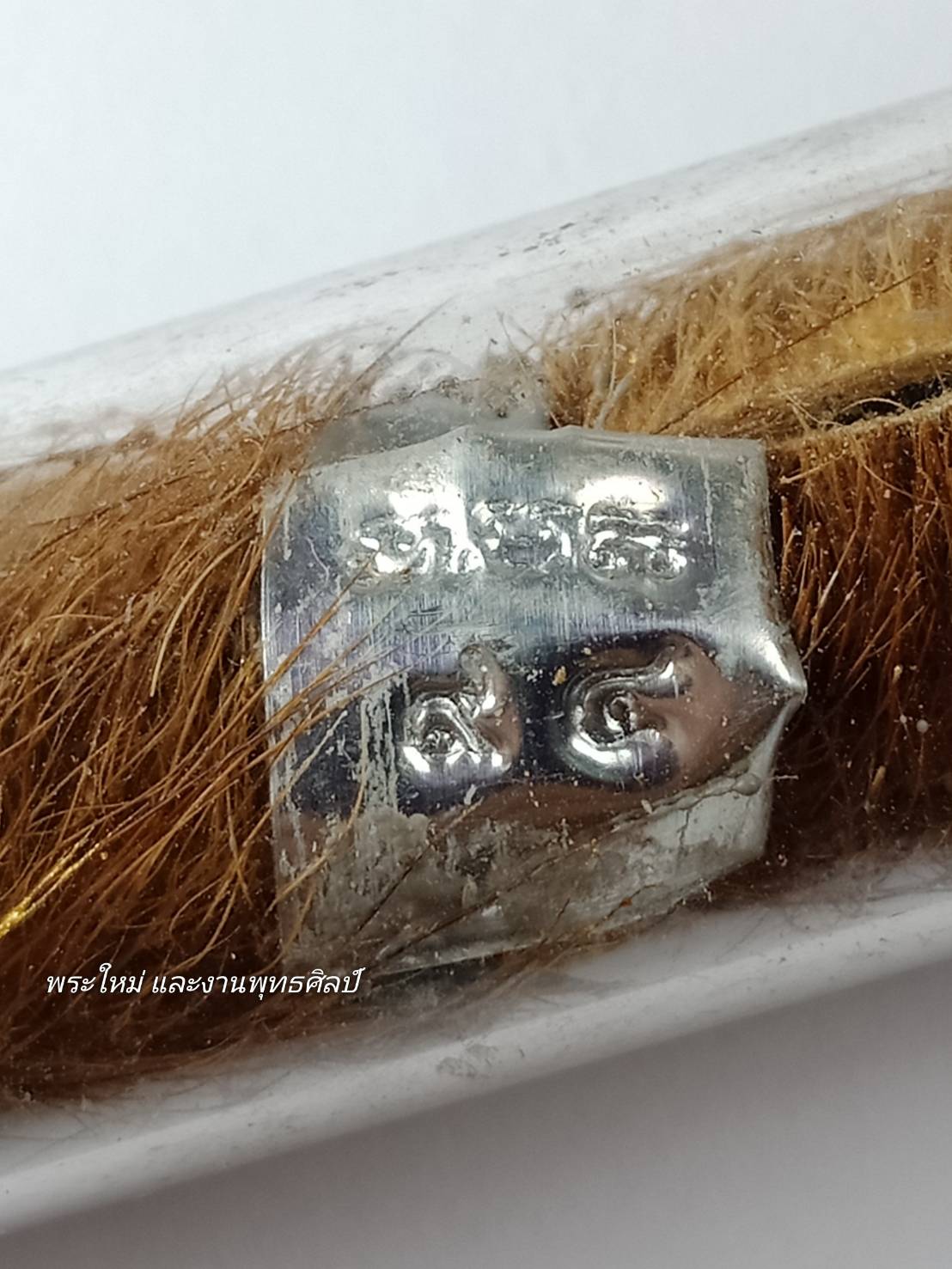 ตะกรุดหนังเสือ