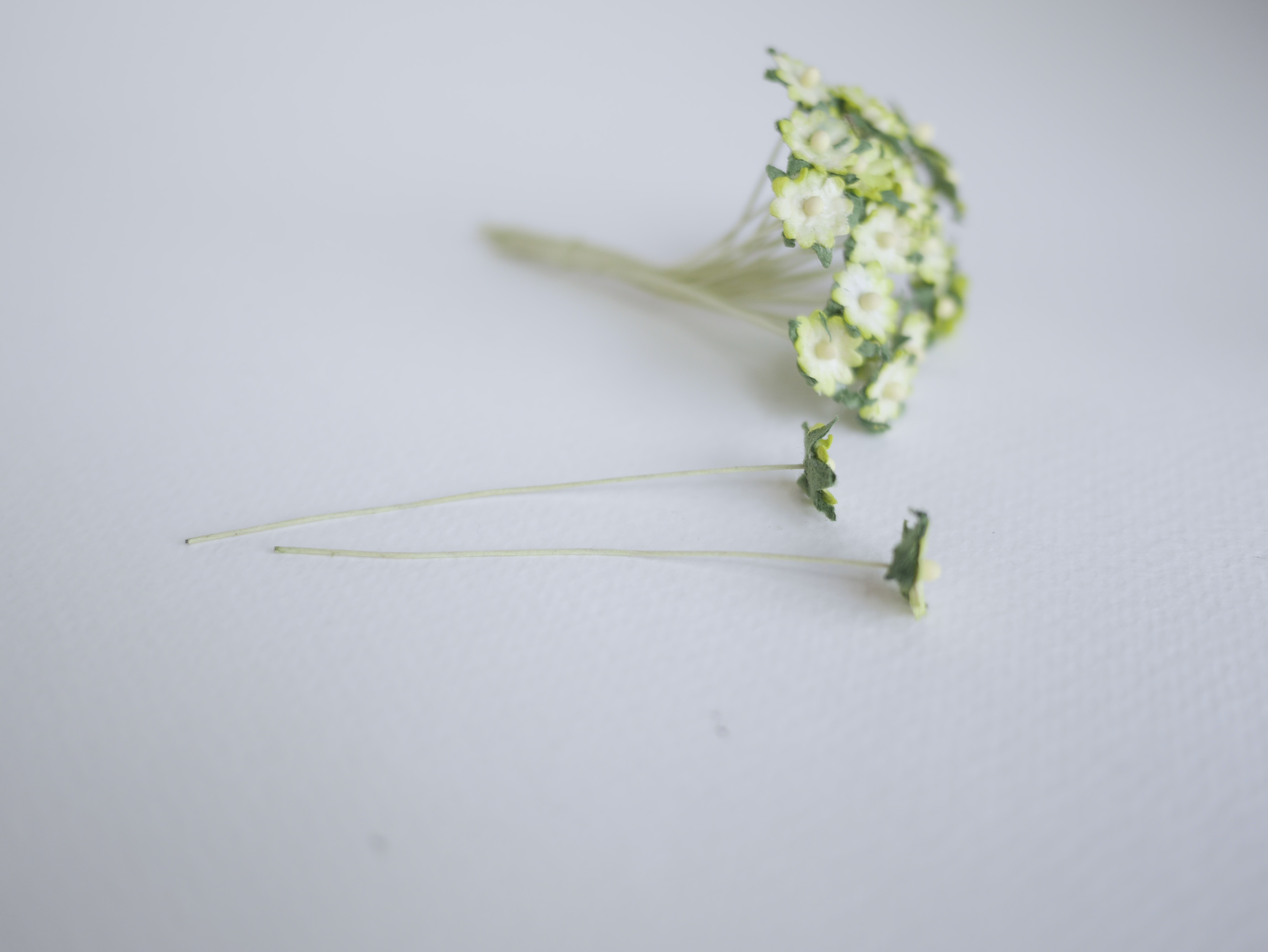 ดอกไม้กระดาษสา ดอกไม้กระดาษสาราคาส่ง ดอกไม้กระดาษสำหรับตกแต่ง งานแต่งงาน หรือติดของชำร่วย ดอกเดซี่ 100 ดอก ขนาด 0.8 cm. สีเขียวอ่อนปัด Small Paper Flower with stem, 100 pcs., size 0.8 cm., daisy flowers 2 layers, green brush color.