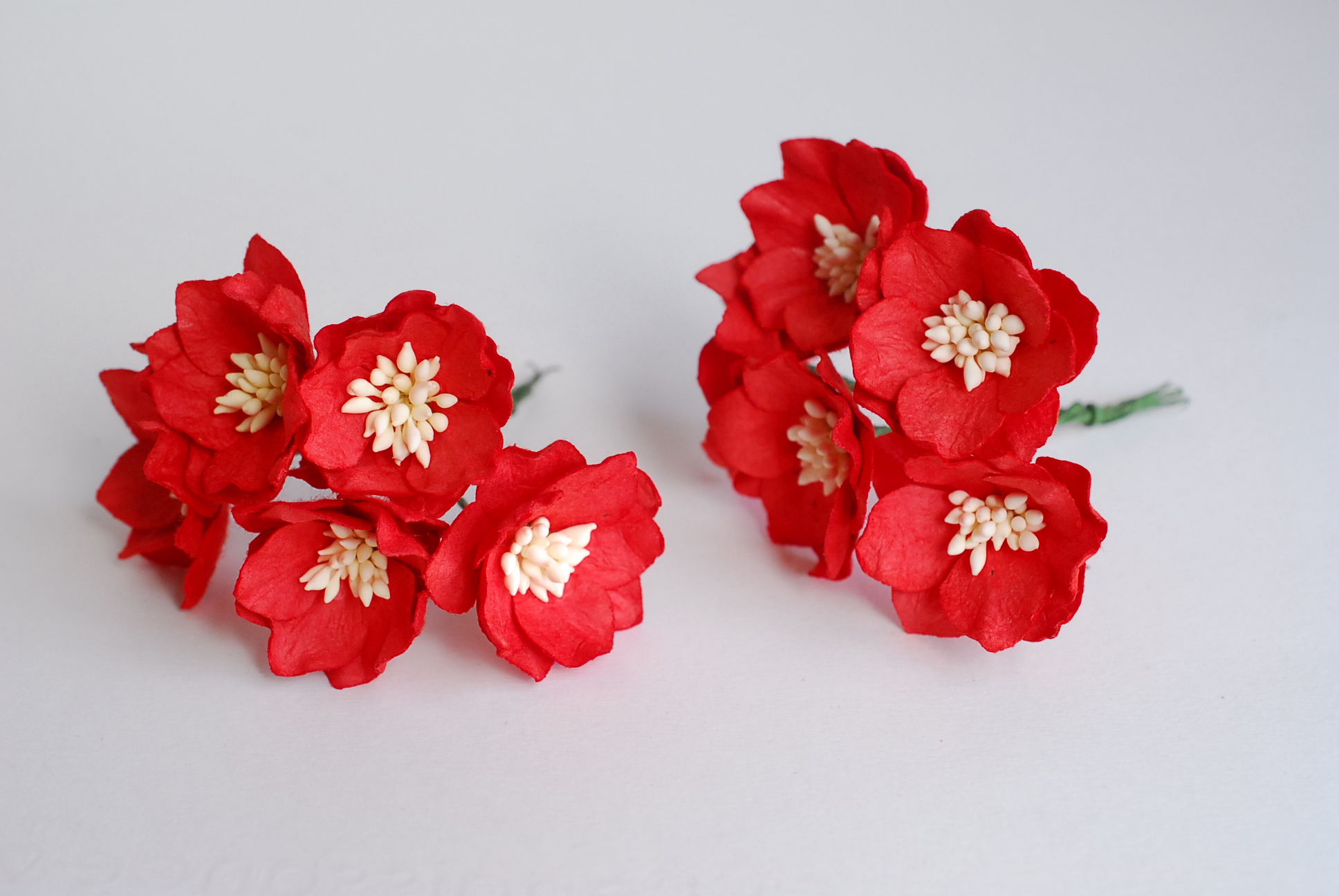 ดอกไม้กระดาษสา ดอกโลตัสอินโดนิเซียกระดาษ ดอกไม้กระดาษสาราคาส่ง ดอกไม้กระดาษสำหรับตกแต่งของชำร่วย งานแต่งงาน ทำช่อดอกไม้ติดอกเจ้าบ่าว ข้อมือดอกไม้เจ้าสาว ขนาด3.5 cm. 25 ดอก สีแดง Paper flowers supplies: DIY wedding supplies Big Cherry blossom red color.