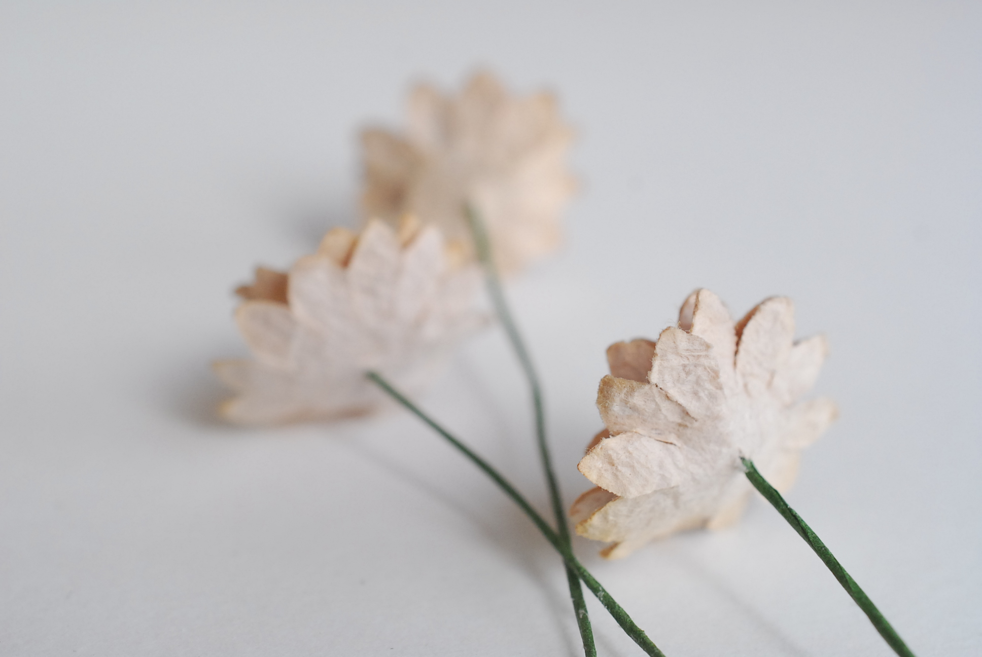 ดอกไม้ประดิษฐ์, ดอกไม้กระดาษสา, ดอก gypsophila, ดอกยิปโซ งานประดิษฐ์ตกแต่งของชำร่วย, ดอกไม้ทำพานพุ่ม,พานพวงมาลัย, พานรับไหว้, ขนาด 2 cm. สีน้ำตาลอ่อน