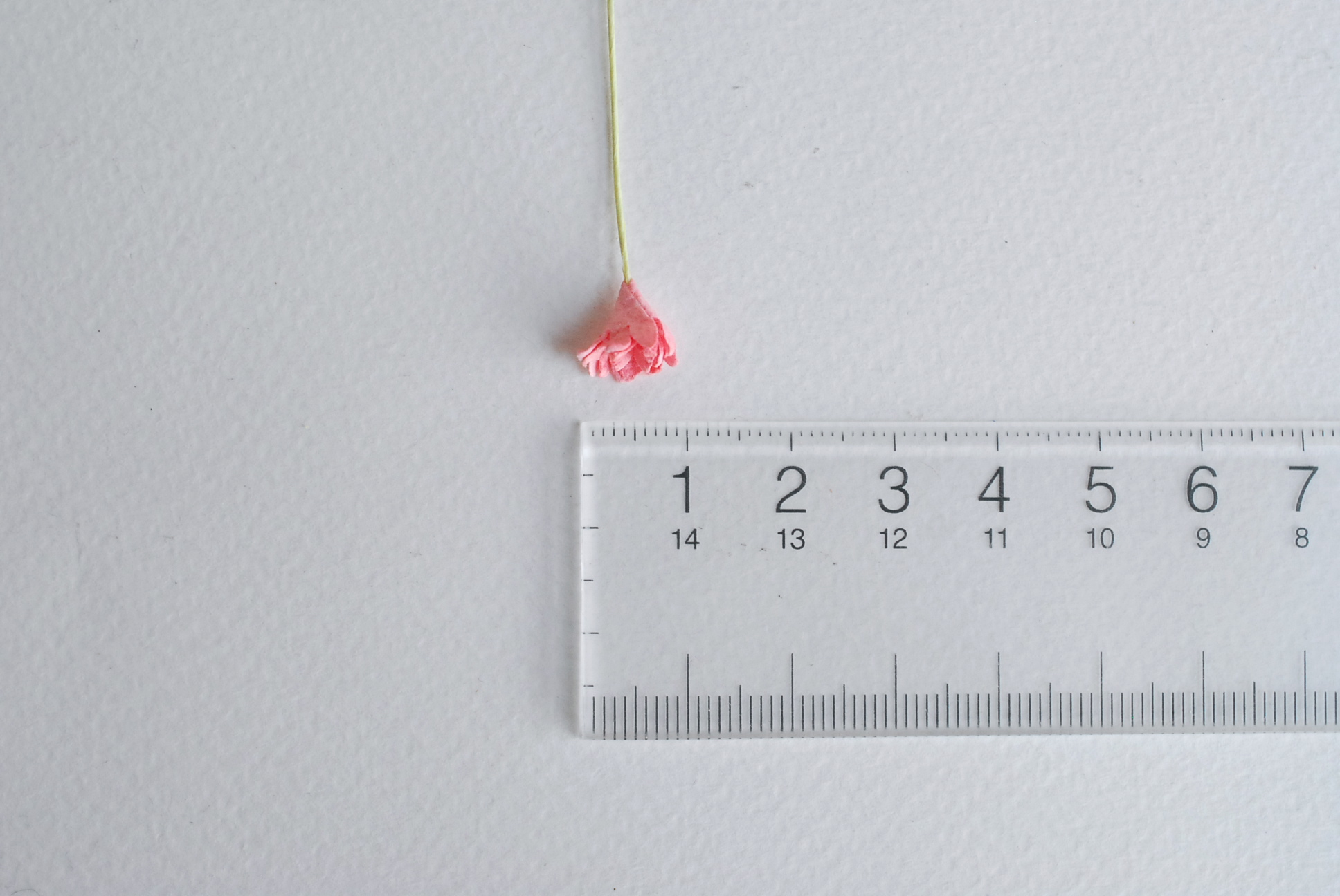 ดอกไม้ประดิษฐ์, ดอกไม้กระดาษสา, ดอก gypsophila, ดอกยิปโซ งานประดิษฐ์ตกแต่งของชำร่วย, ดอกไม้ทำพานพุ่ม, พานรับไหว้, ขนาด0.8 cm. สีพีชชมพู