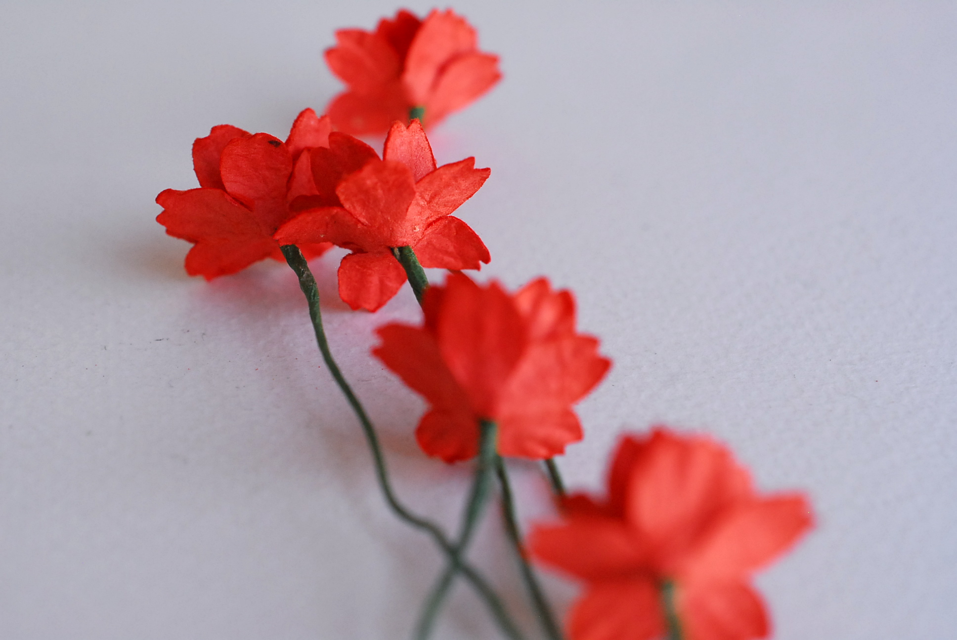 ดอกไม้กระดาษสา ดอกซากุระกระดาษ ขนาดเล็ก ดอกไม้กระดาษสาราคาส่ง ดอกไม้กระดาษสำหรับตกแต่งของชำร่วย งานแต่งงาน ทำช่อดอกไม้ติดอกเจ้าบ่าว ข้อมือดอกไม้เจ้าสาว ขนาด2.0 cm. 50 ดอก สีแดง Paper flowers supplies: DIY wedding tools small Cherry blossom (Sakura) red co