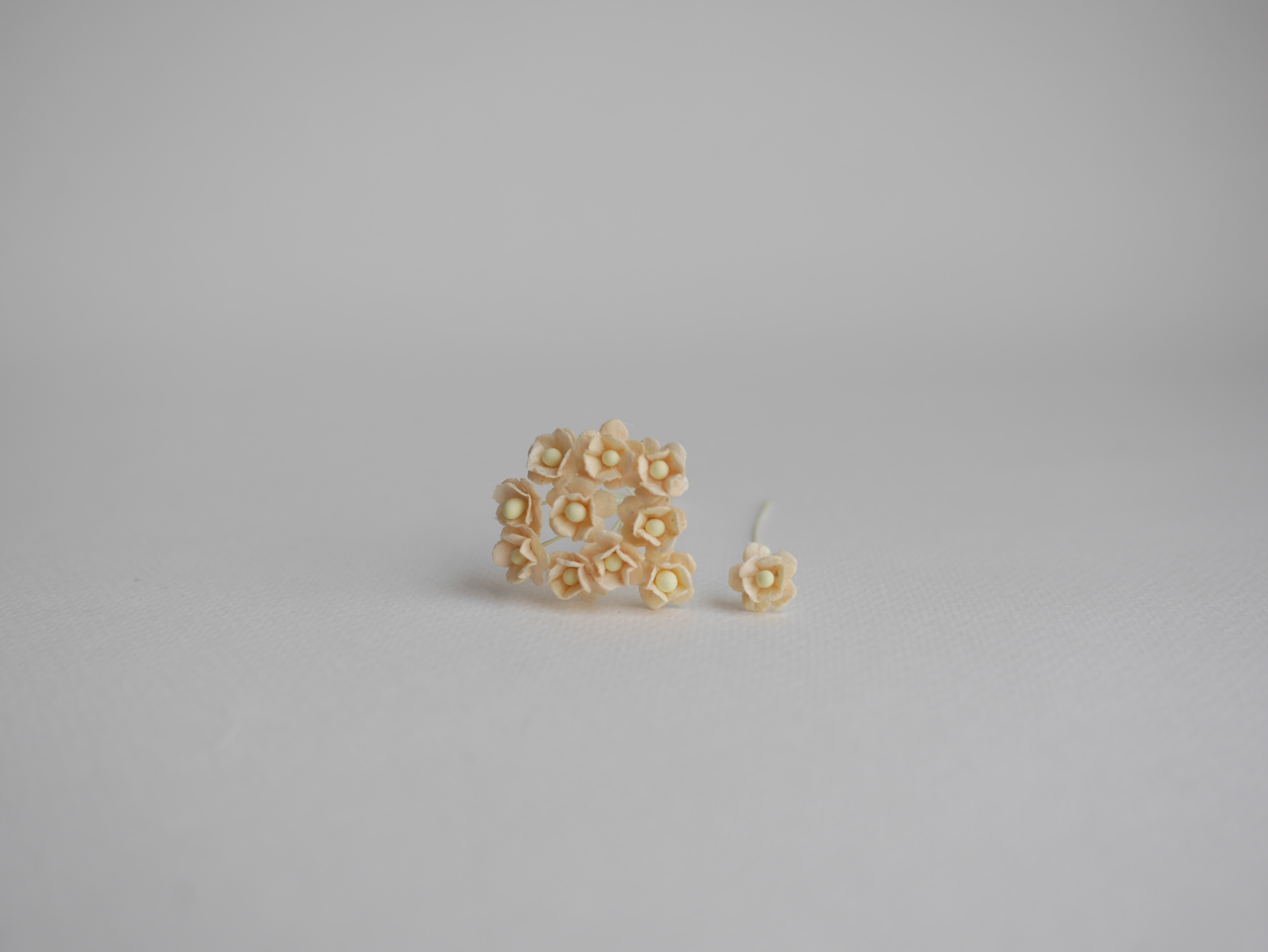 ดอกไม้กระดาษสา ดอกไม้กระดาษสาราคาส่ง ดอกไม้กระดาษสำหรับตกแต่ง งานแต่งงาน หรือติดของชำร่วย ดอก creeping lady 100 ดอก ขนาด 0.8 cm. สีเหลืองไข่อ่อน Small Paper Flower with stem, 100 pcs., size 0.8 cm., creeping flowers 2 layers, soft egg color.