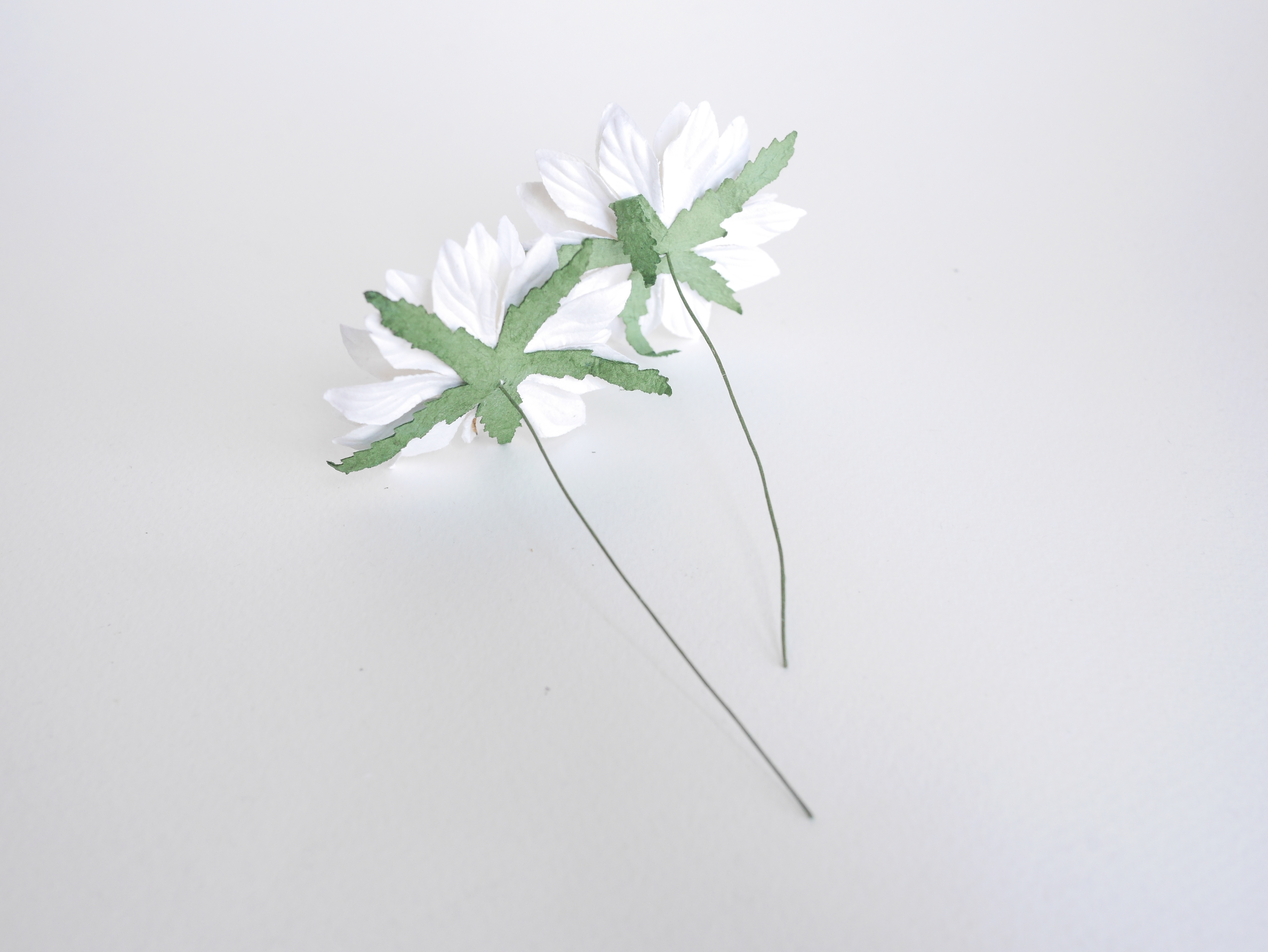 ดอกไม้กระดาษสา ดอกไม้ประดิษฐ์จากกระดาษสา ดอกเดซี่ เกสรสีทอง ดอกไม้กระดาษสาขายส่ง ดอกไม้ประดิษฐ์ ดอกไม้ทำข้อมือเพื่อนเจ้าสาว ดอก daisy ขนาด 5cm. จำนวน 25 ดอก สีขาว Paper Flower, 25 Daisy Flowers, white color, size 6 cm., yellow pollen.